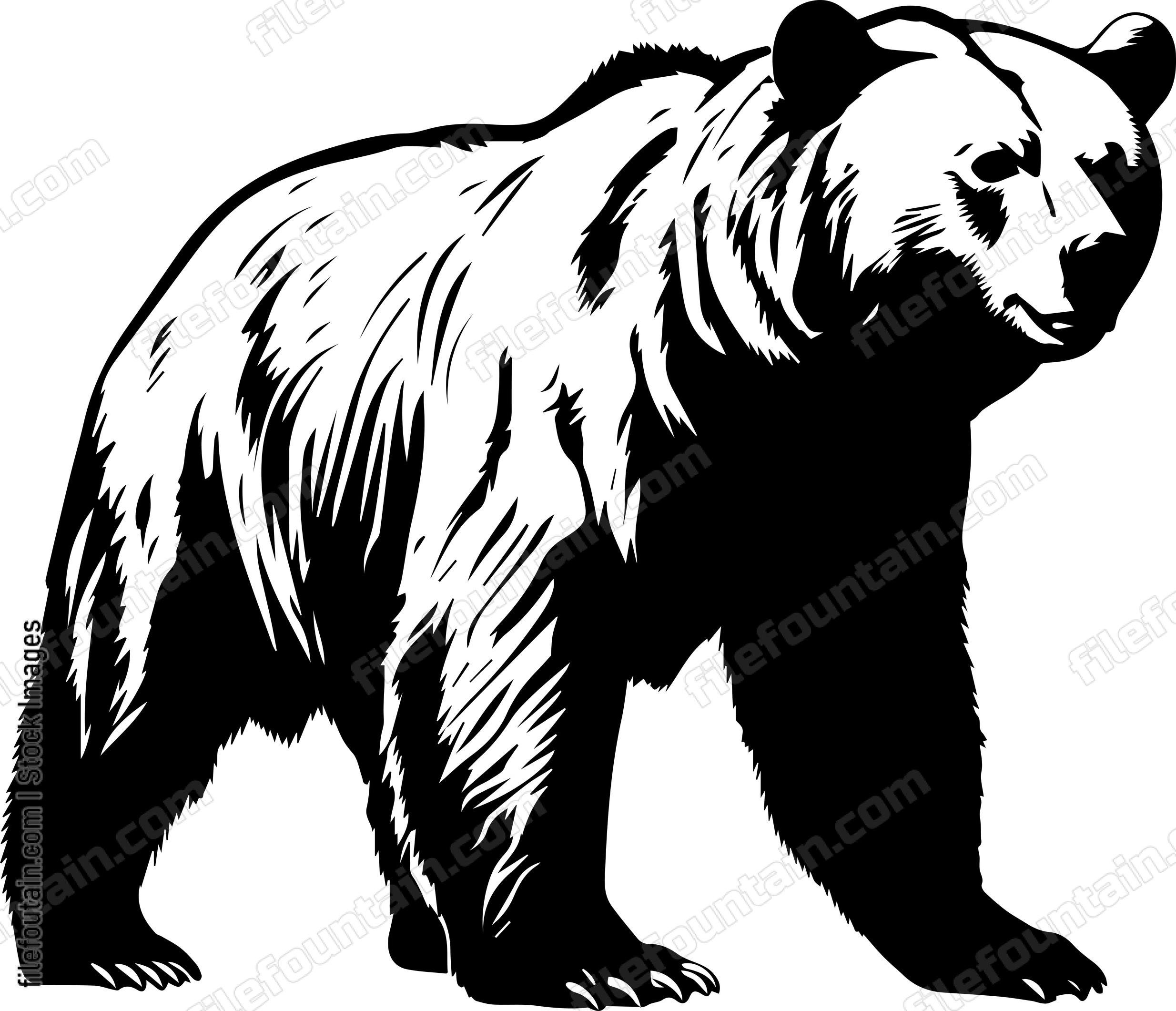 Grizzly Bear