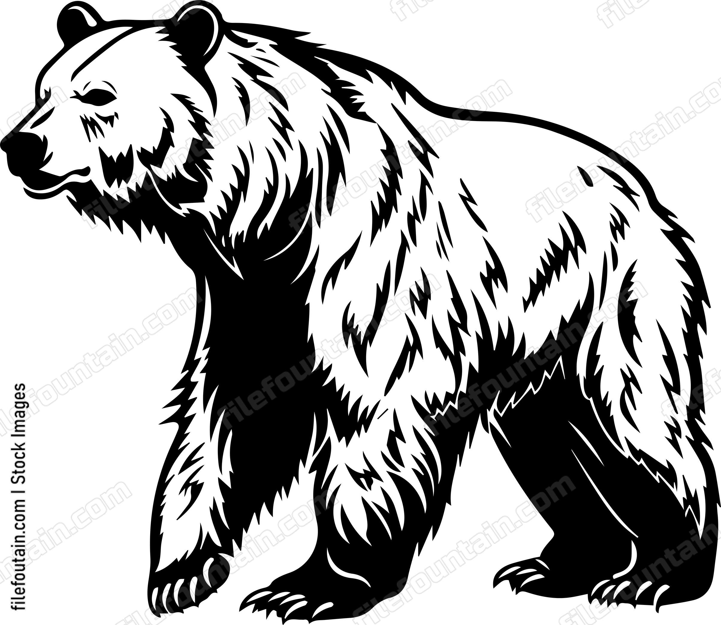 Grizzly Bear