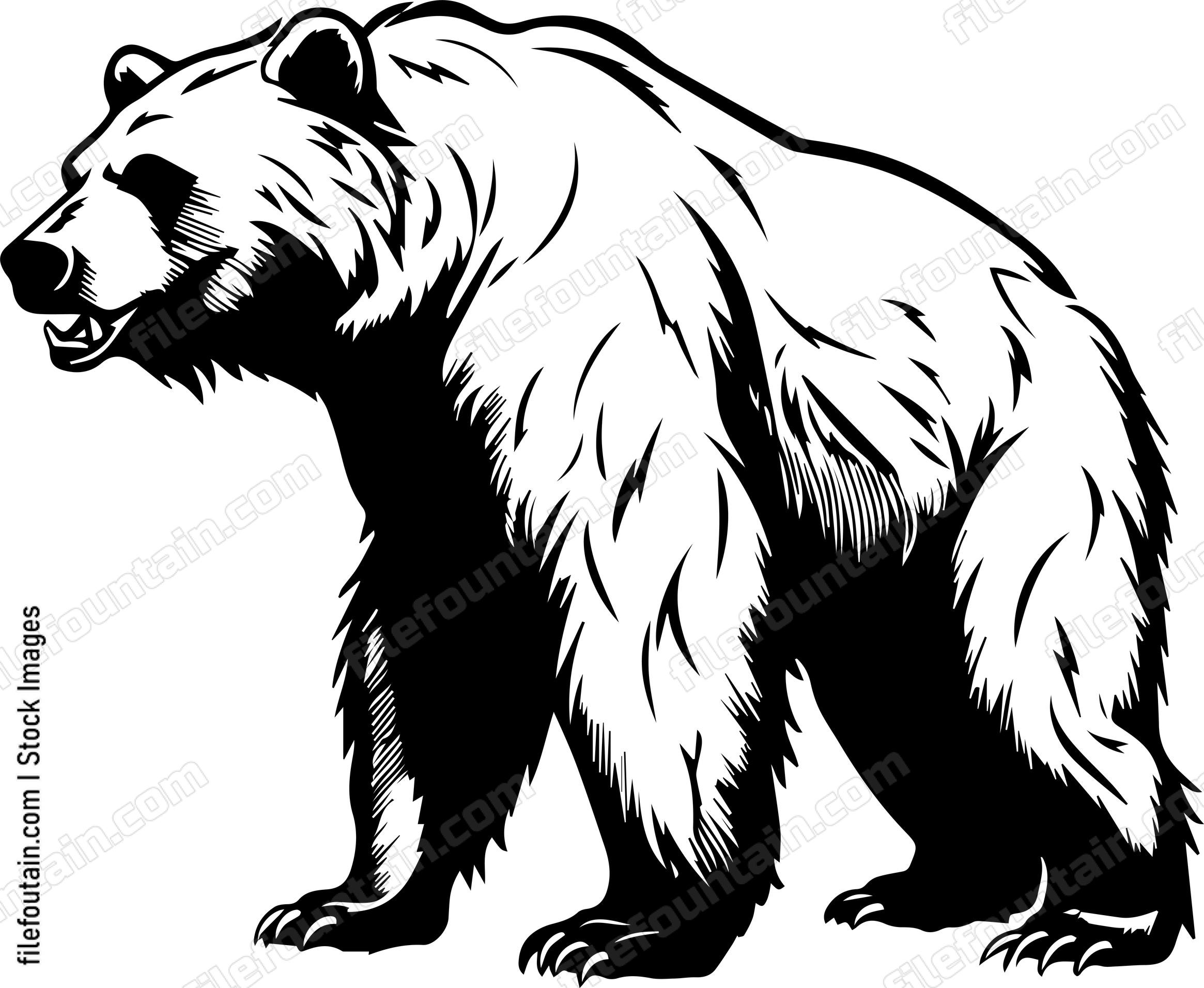 Grizzly Bear