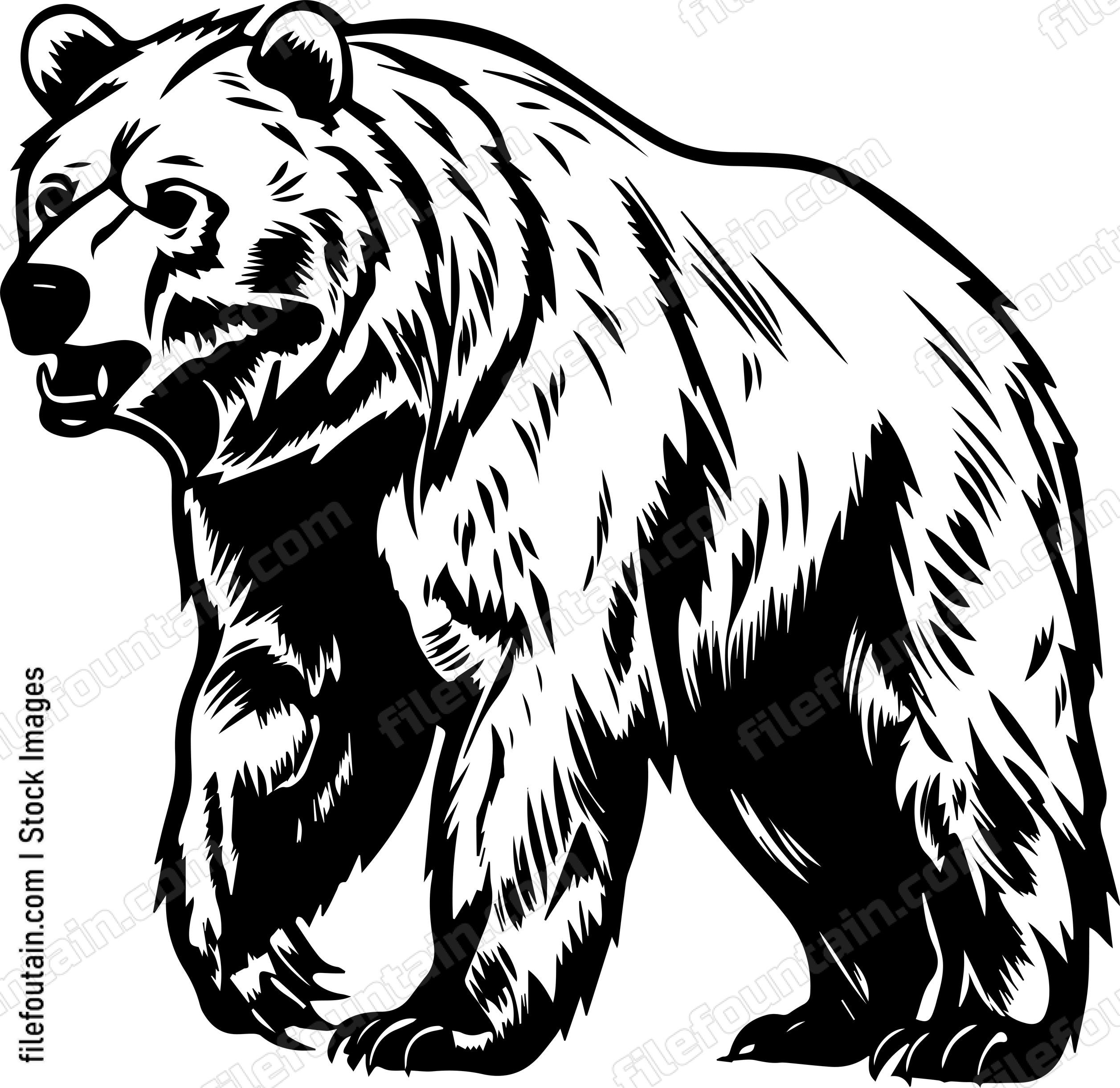 Grizzly Bear