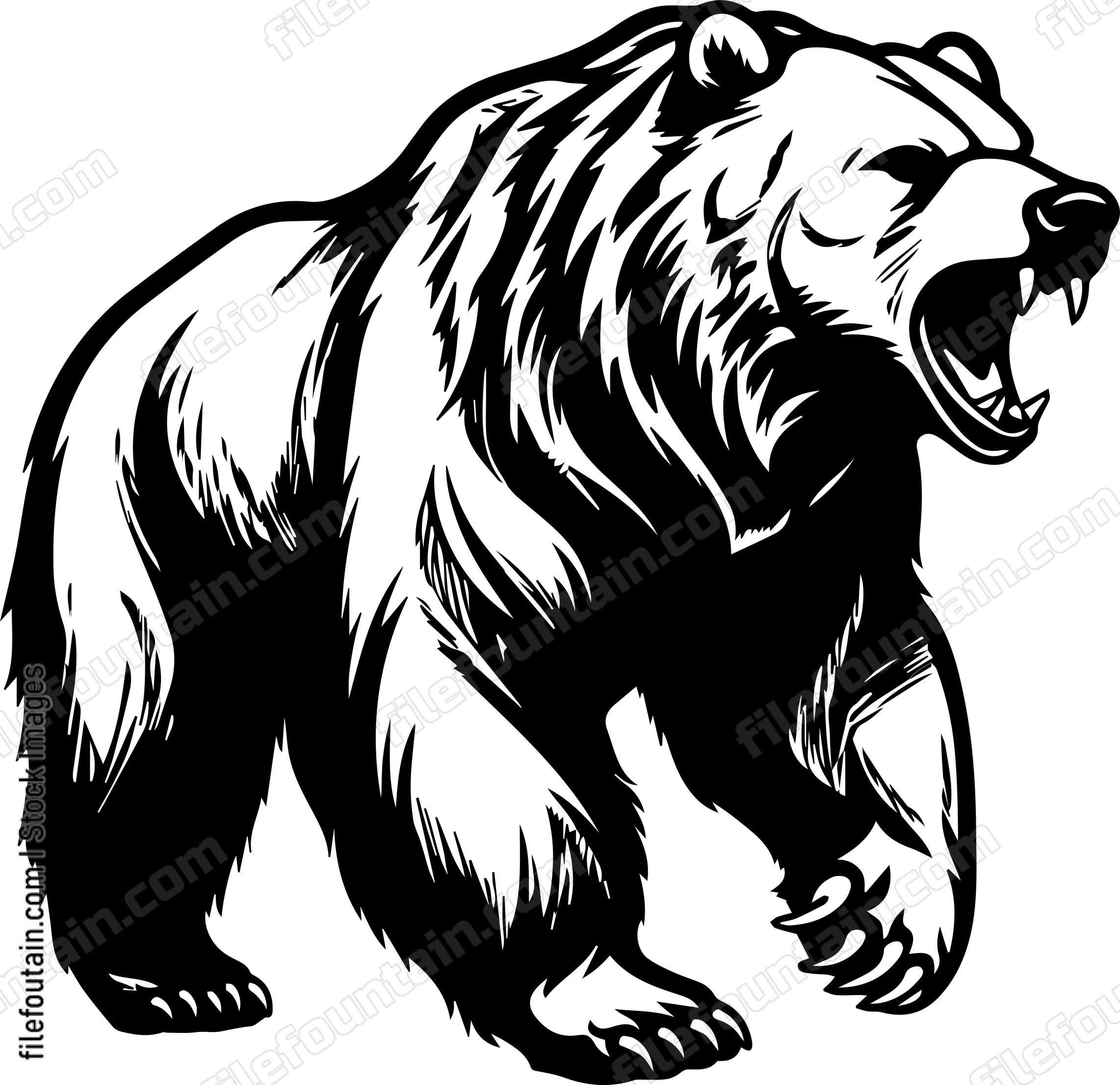 Grizzly Bear