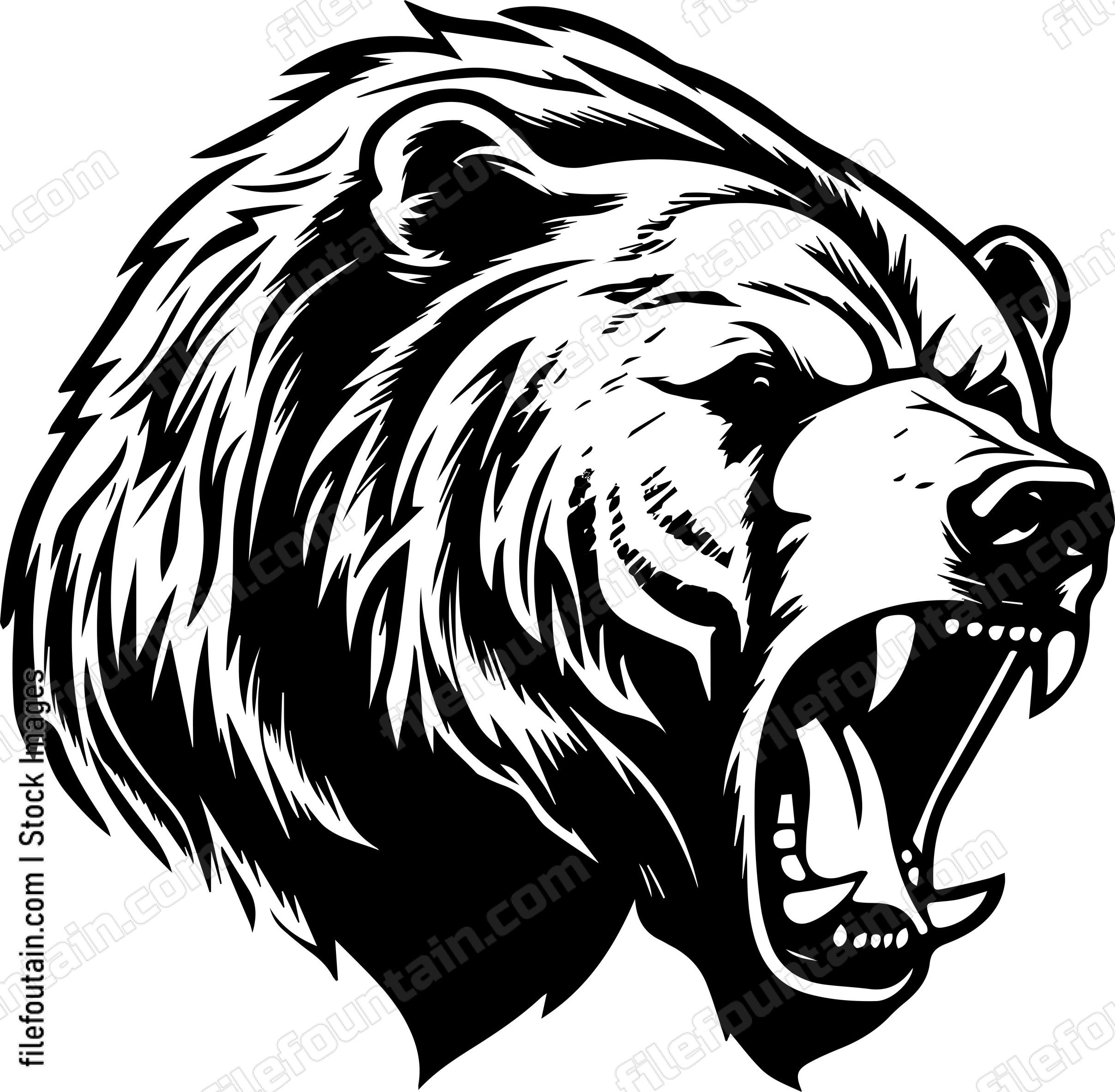 Grizzly Bear