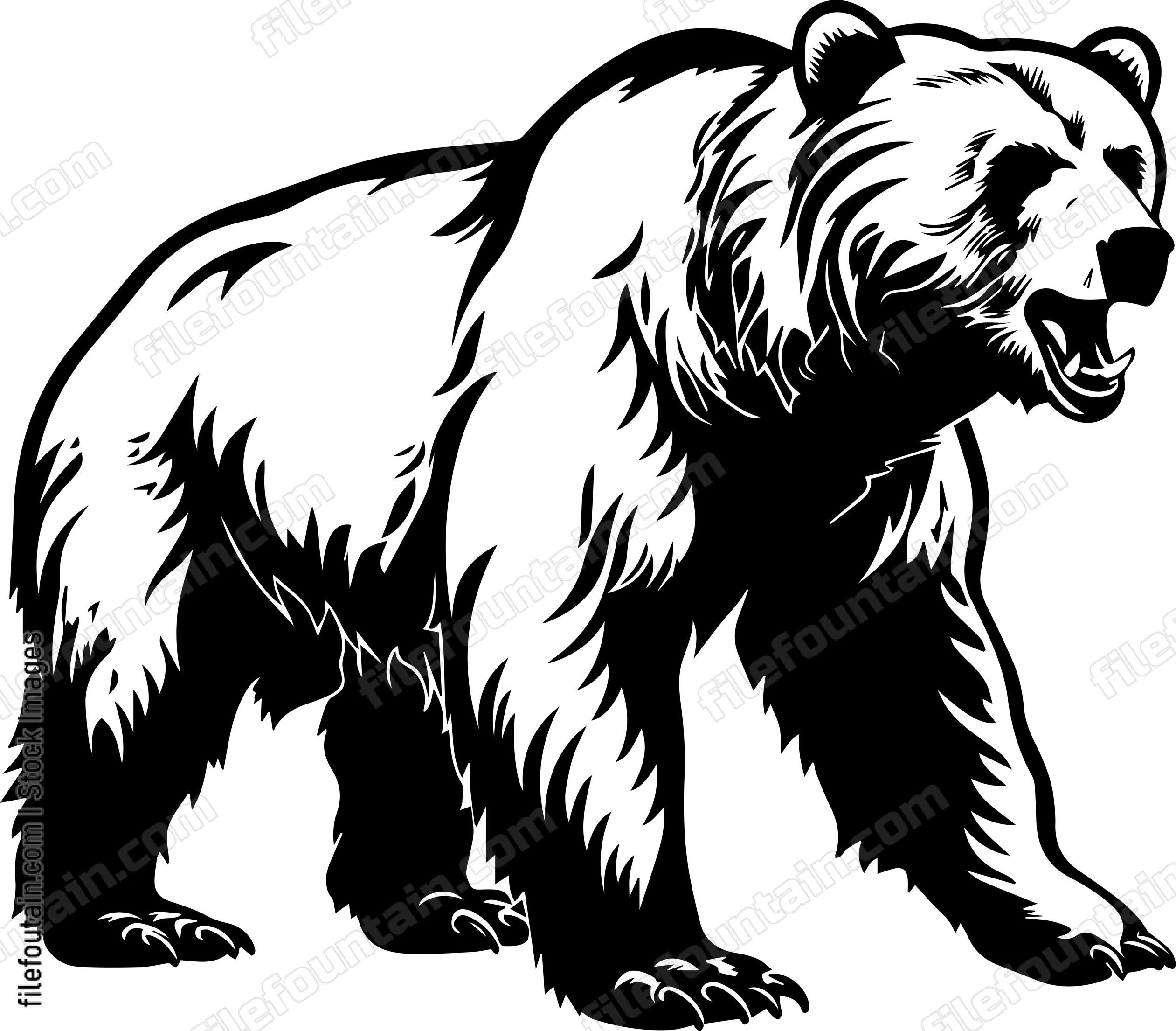 Grizzly Bear
