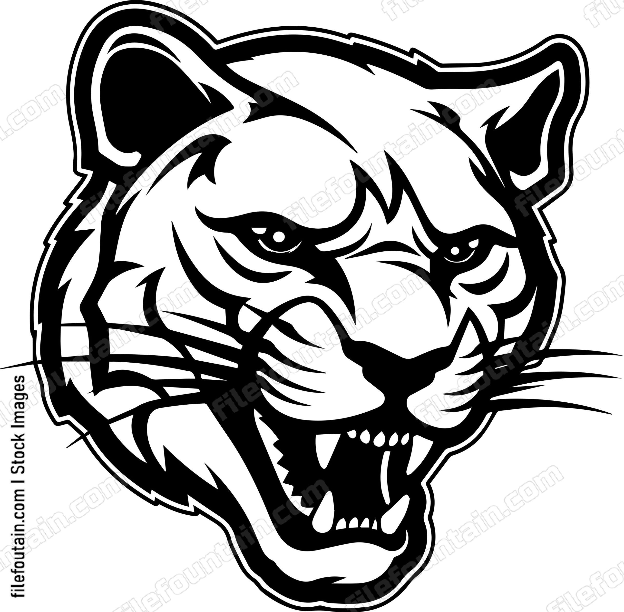 Mountain Lion Mascot