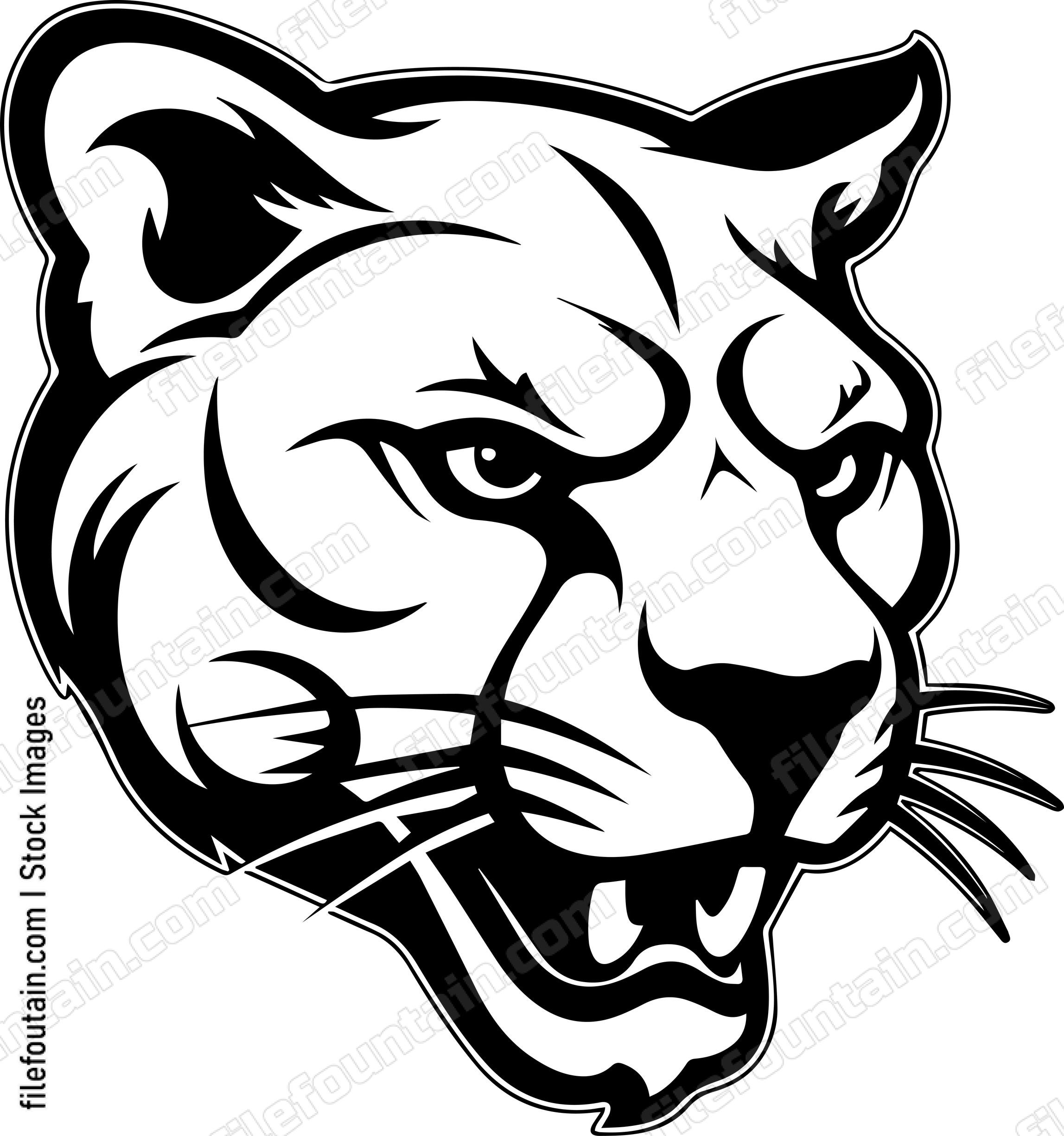 Mountain Lion Mascot
