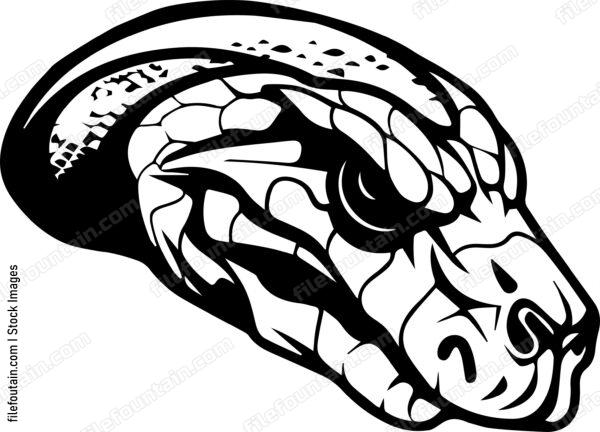 Python Snake