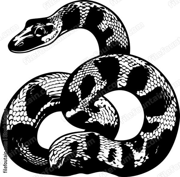 Python Snake