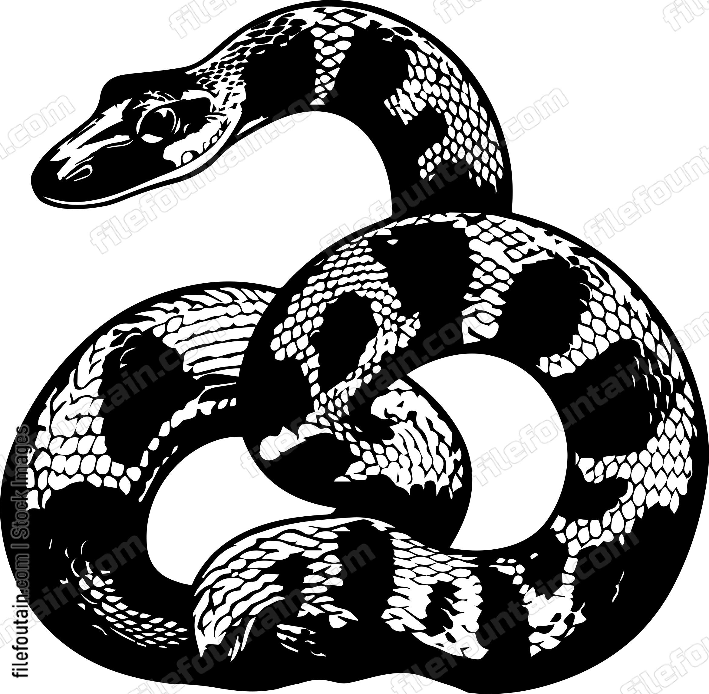 Python Snake
