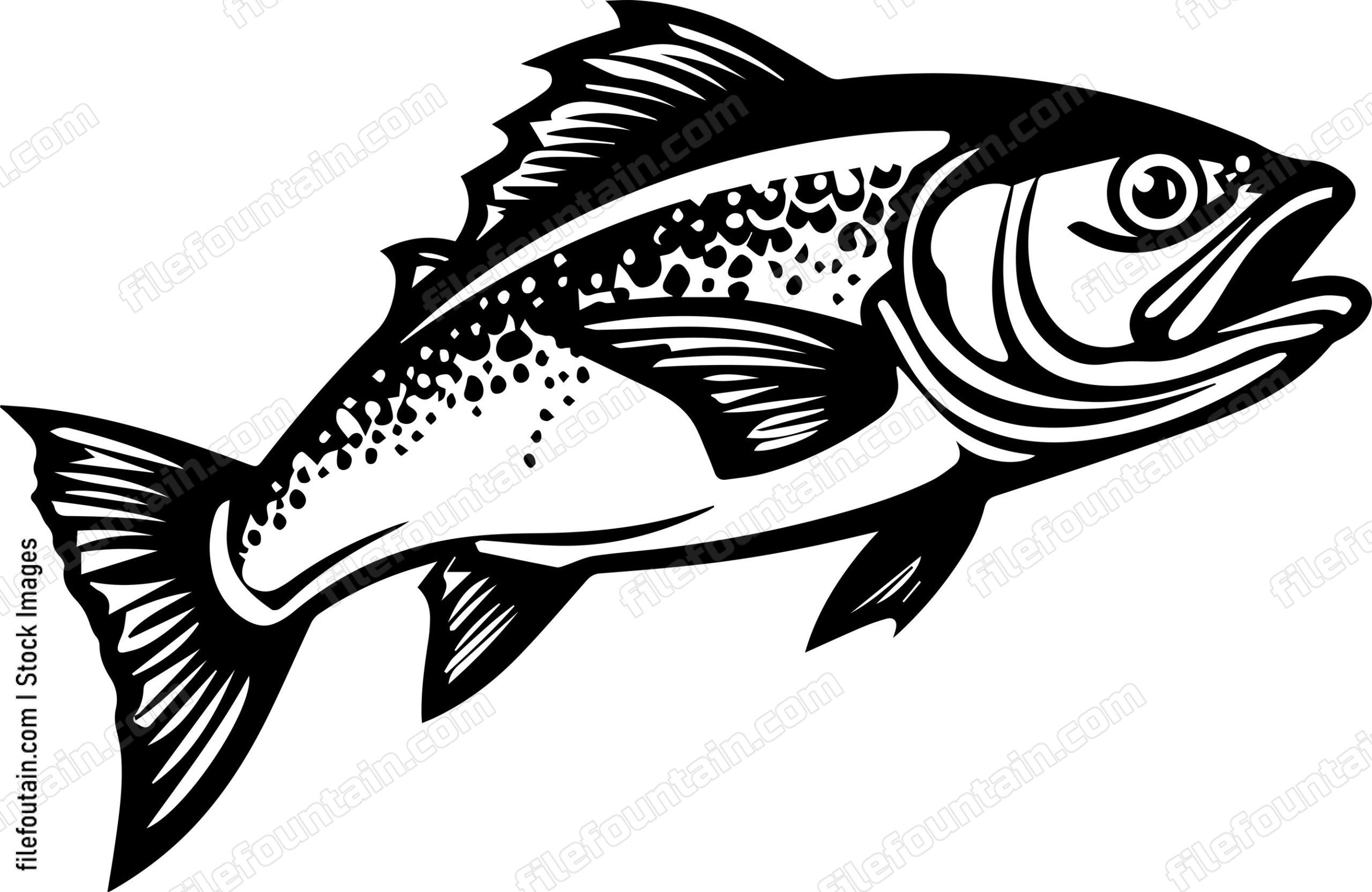 Salmon