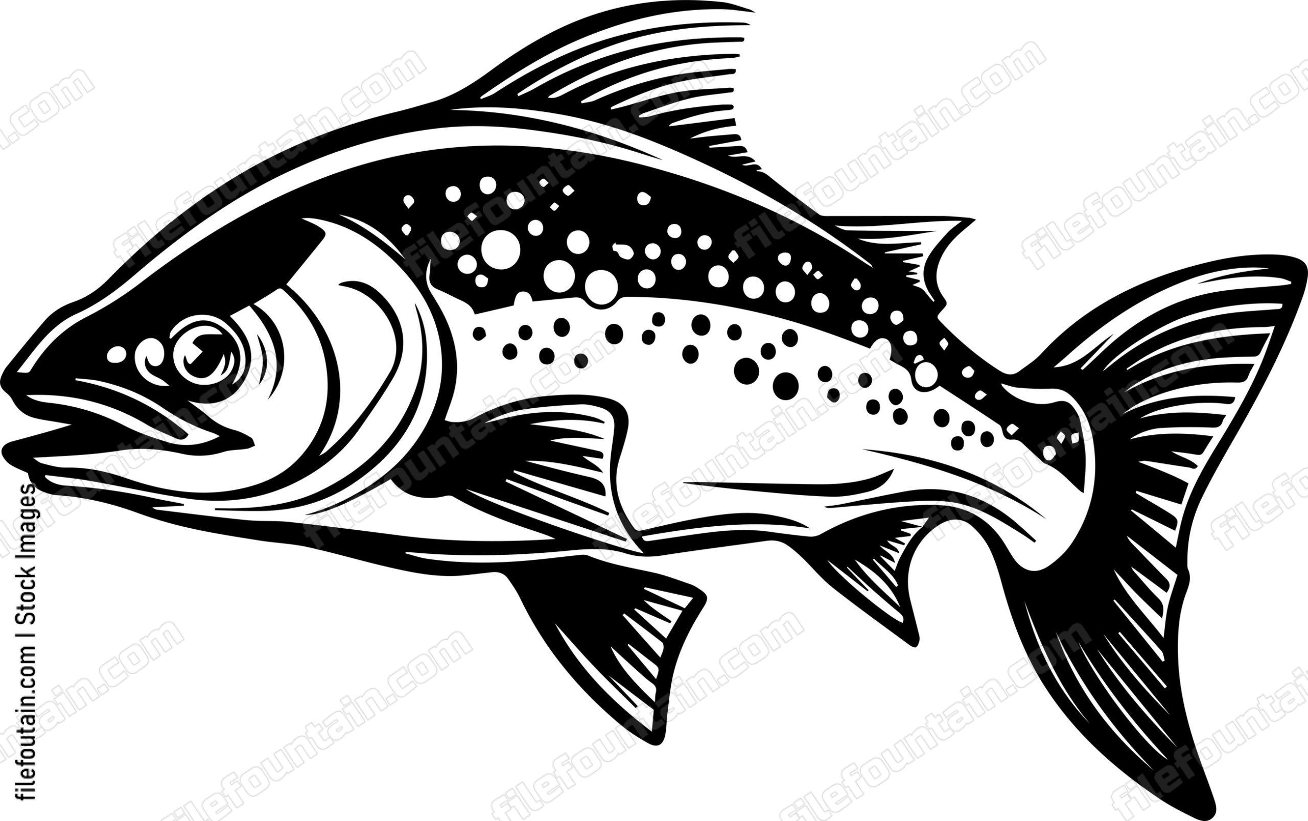Salmon