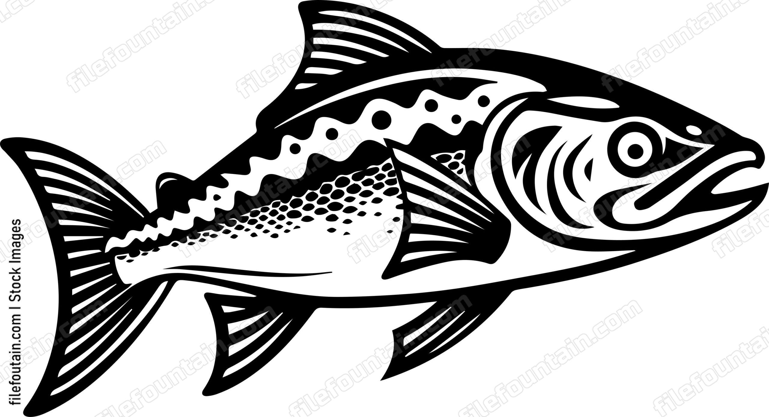 Salmon