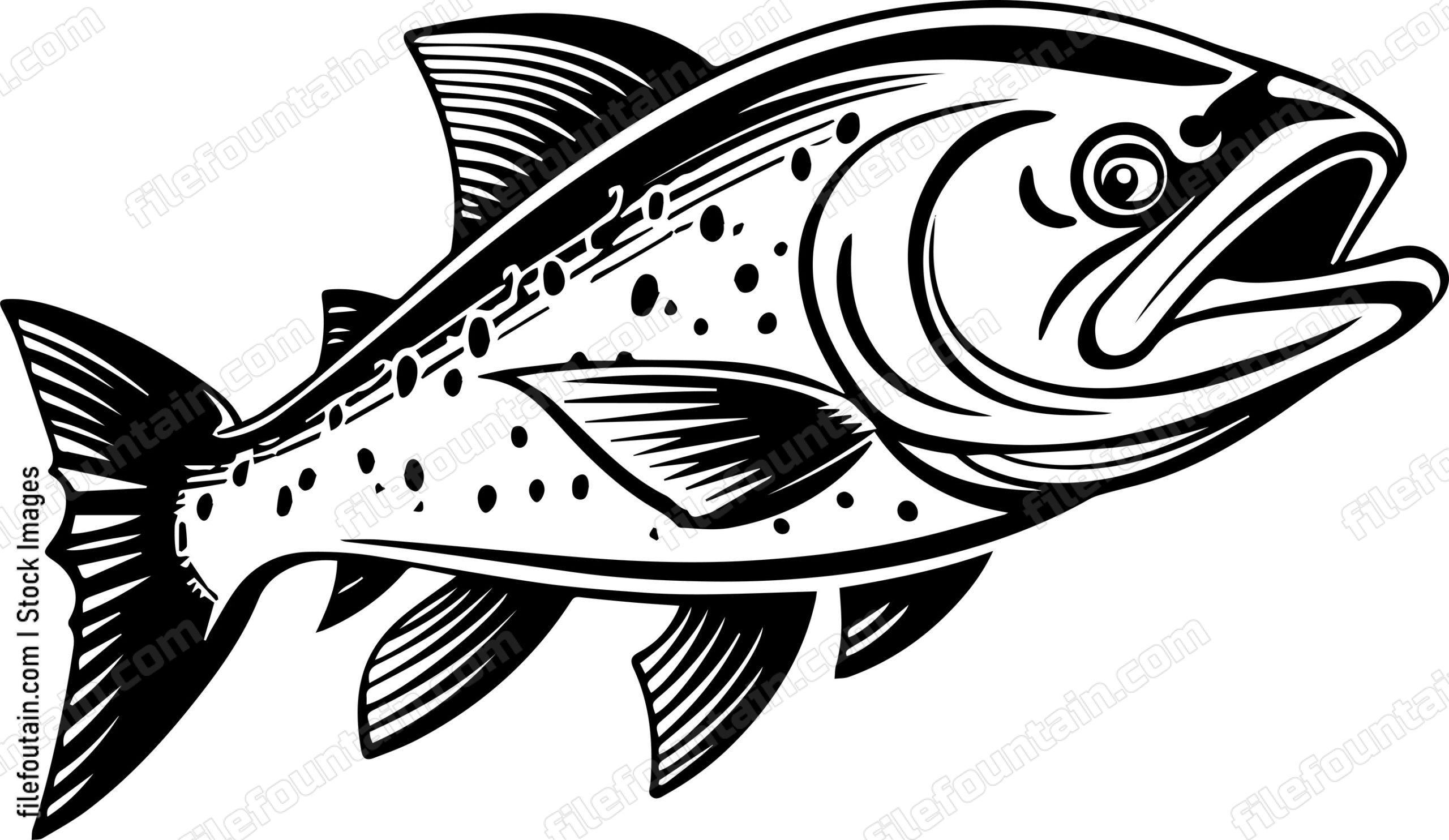 Salmon