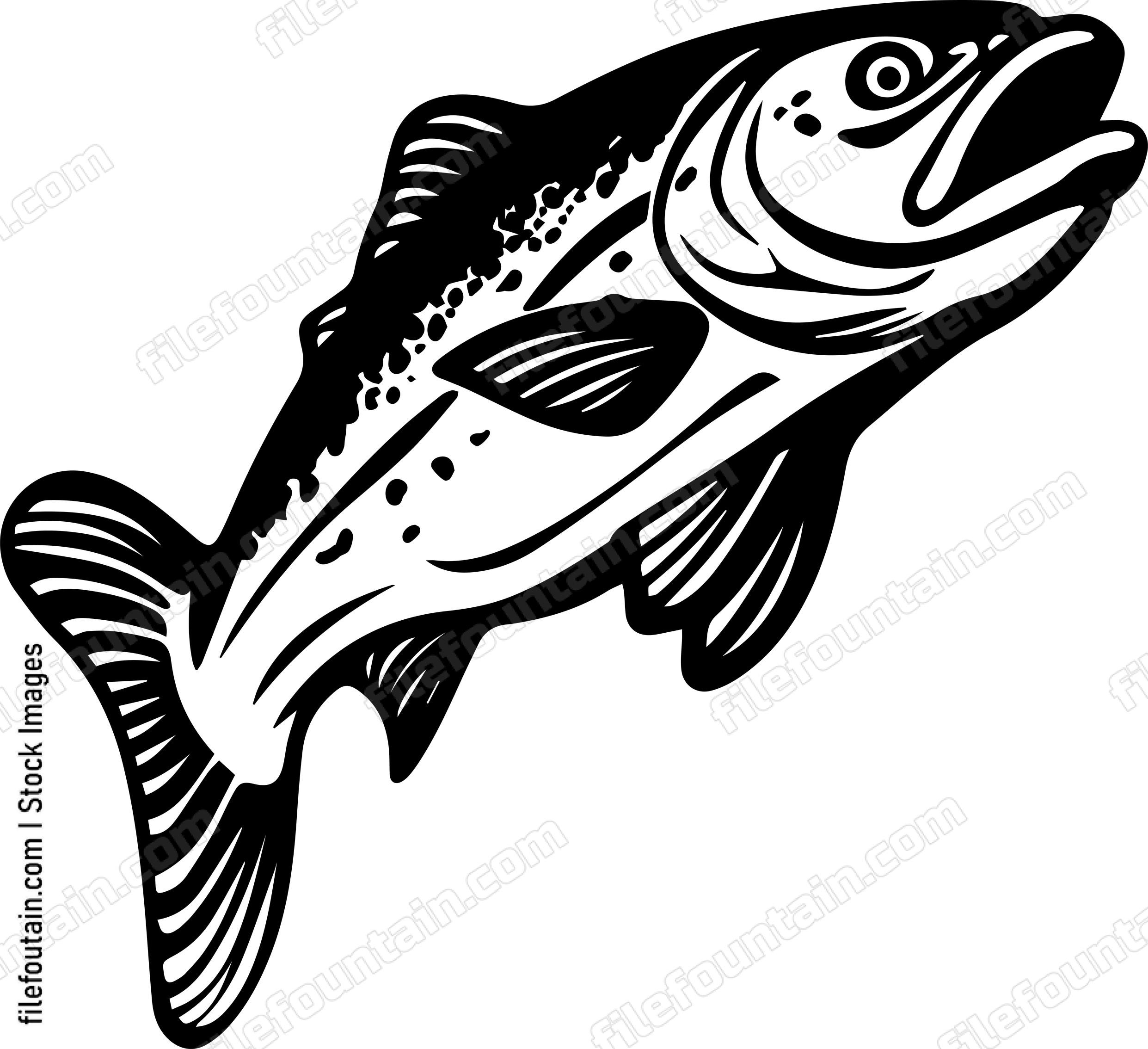Salmon