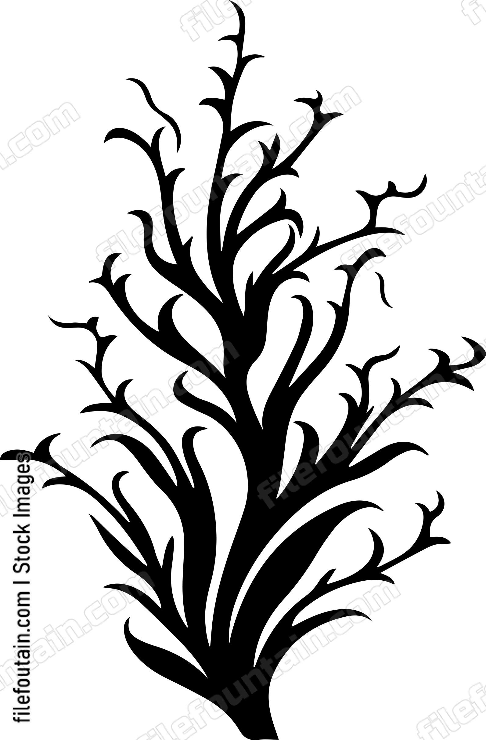 Seaweed