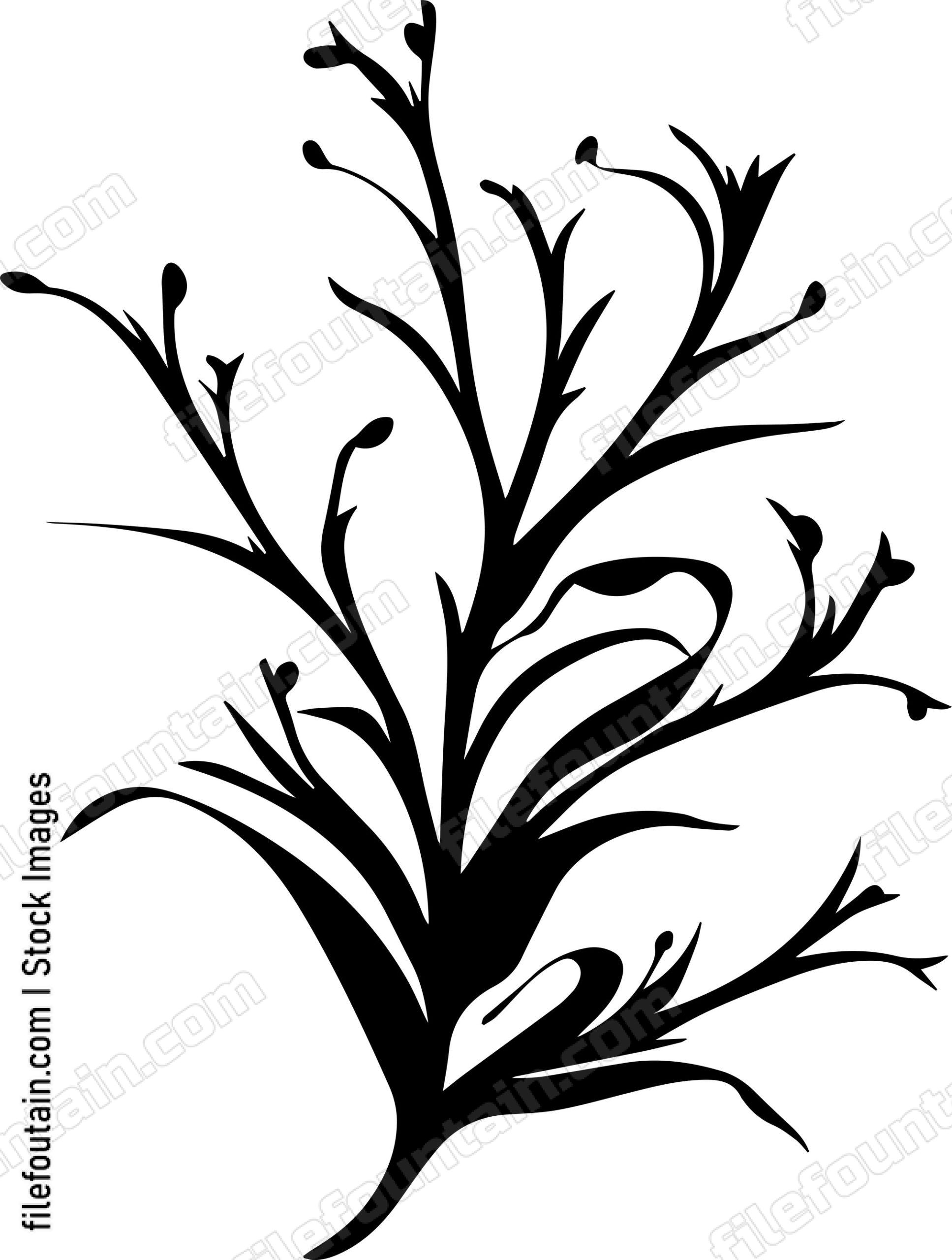 Seaweed