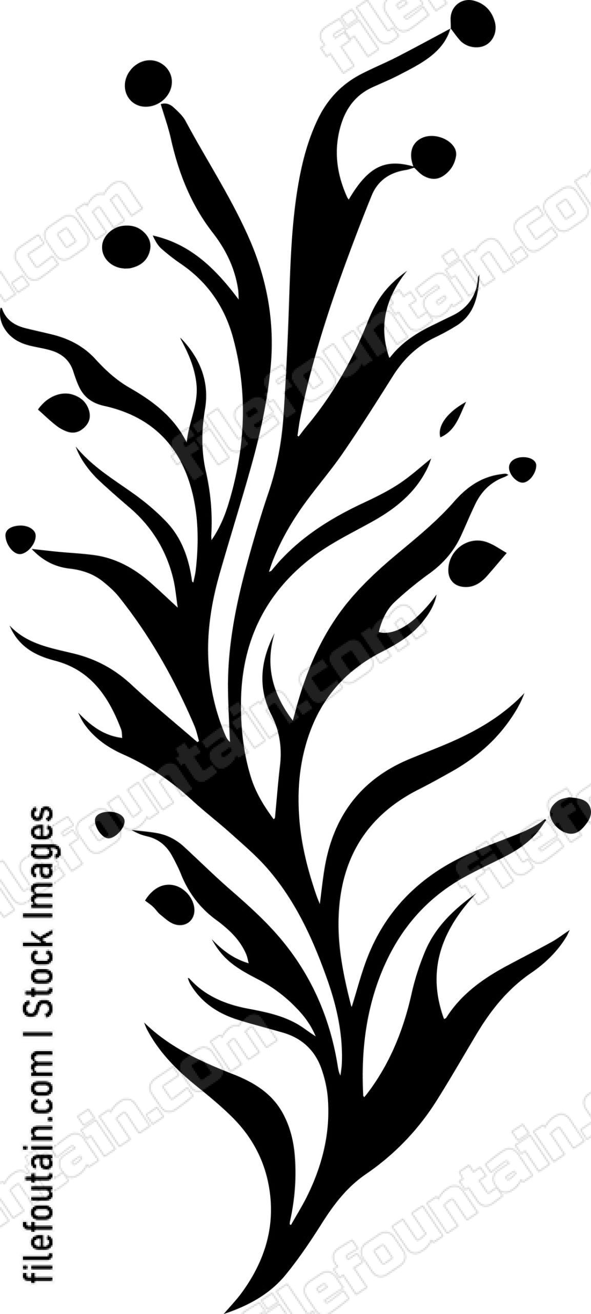 Seaweed