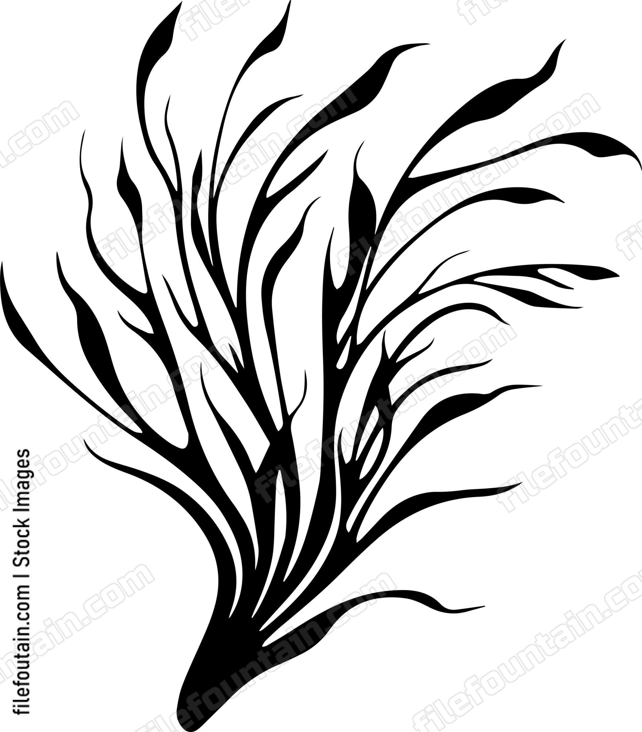 Seaweed