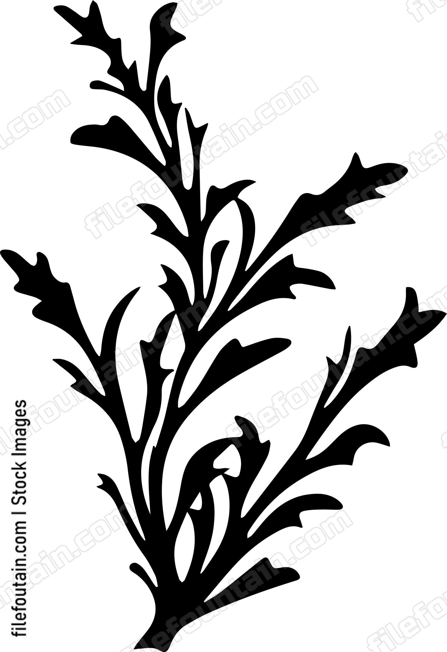 Seaweed