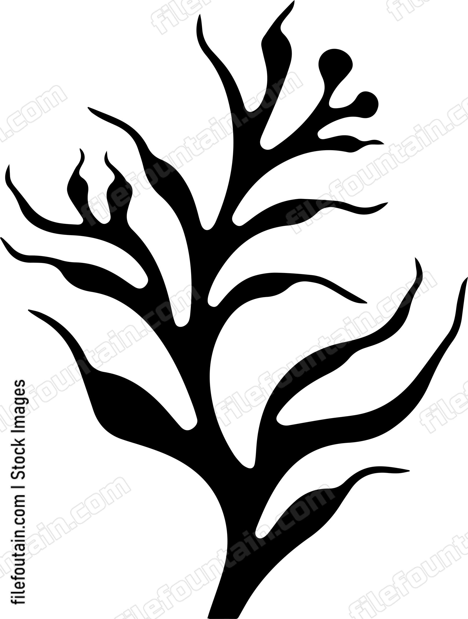 Seaweed