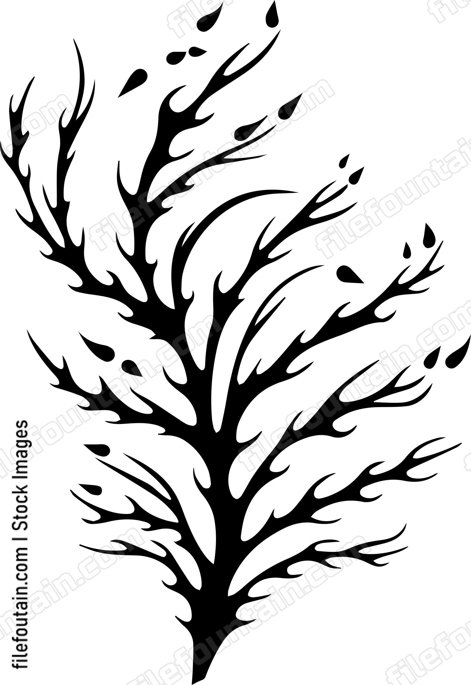 Seaweed