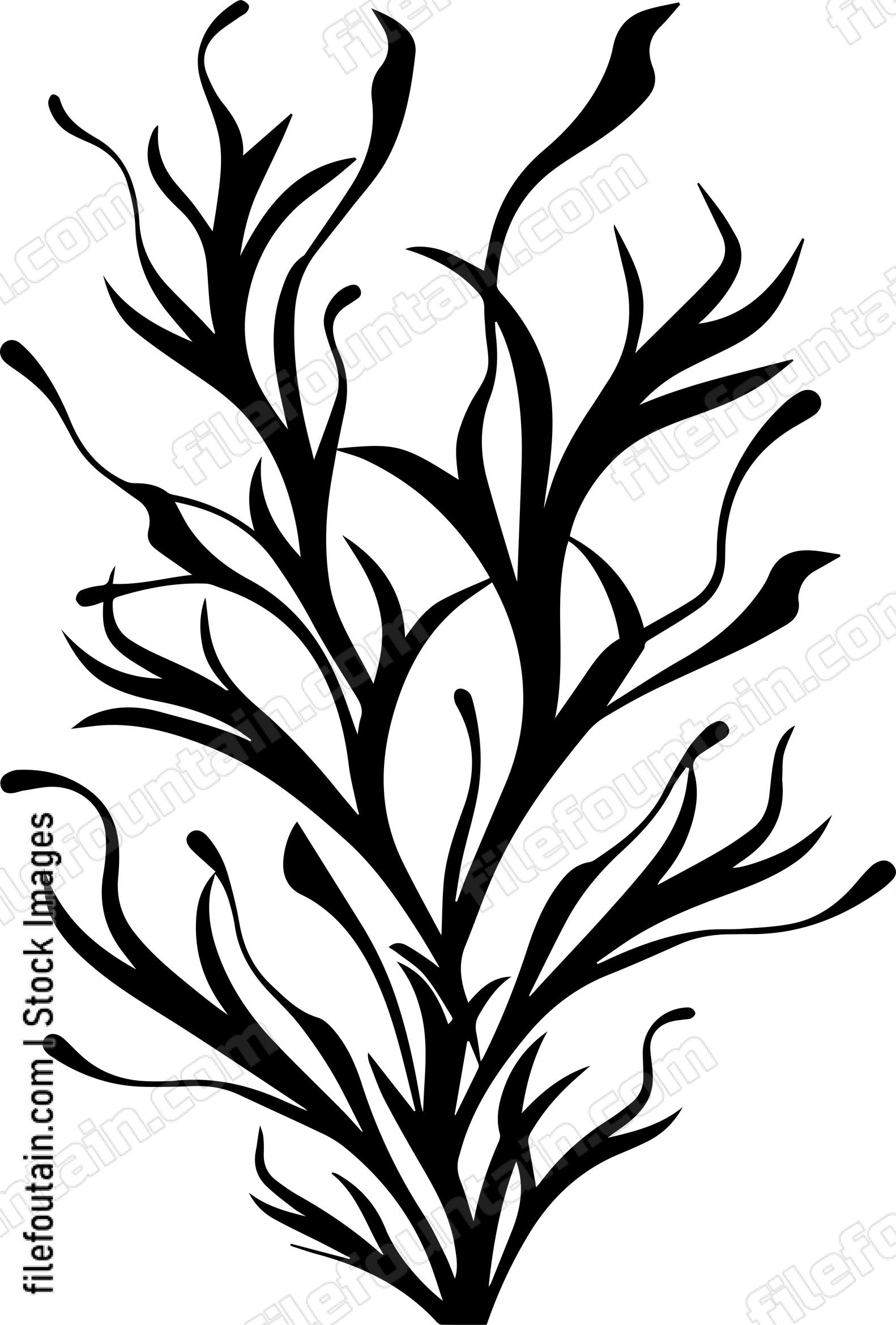 Seaweed