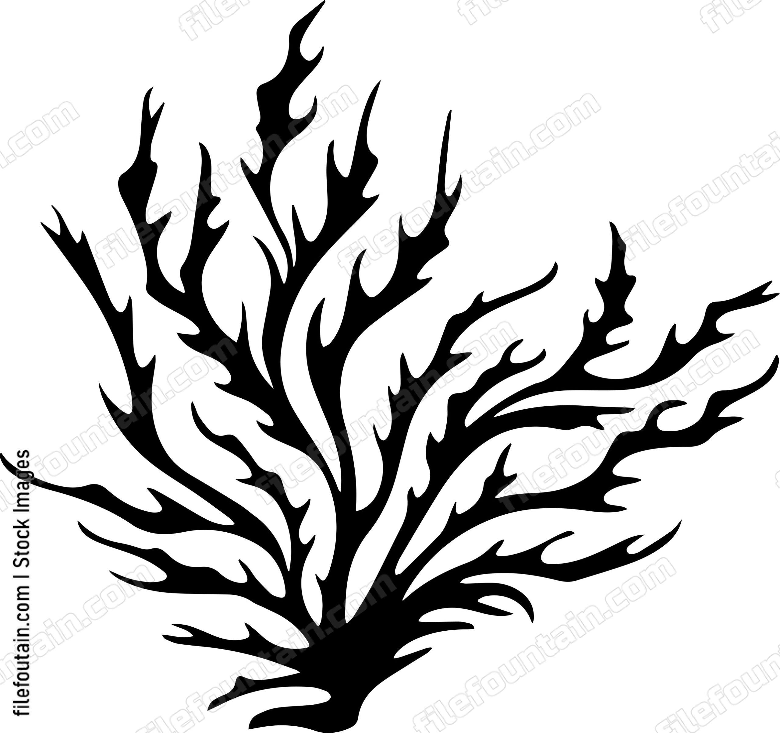 Seaweed