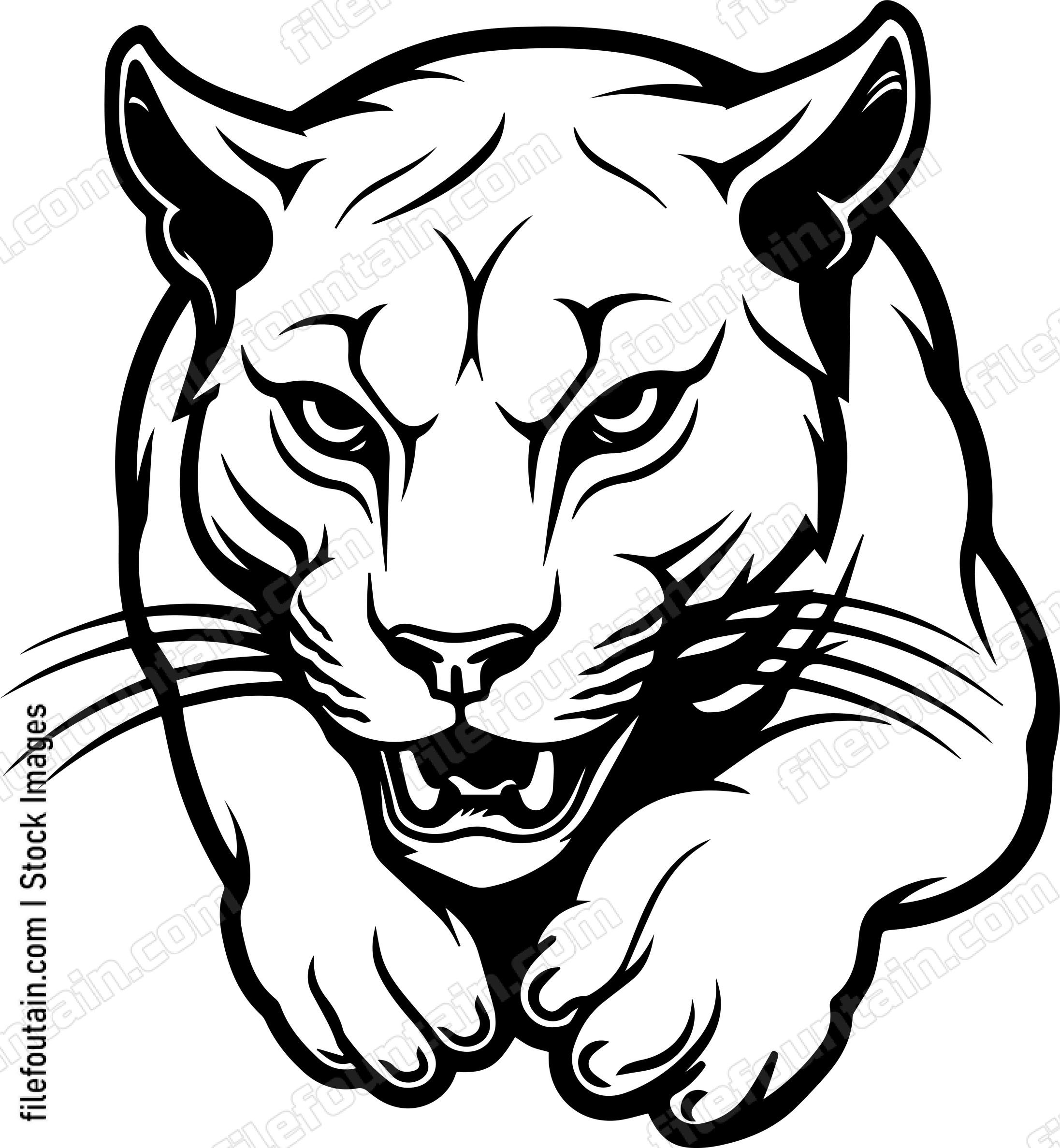 Angry Roaring Puma Jumping Forward