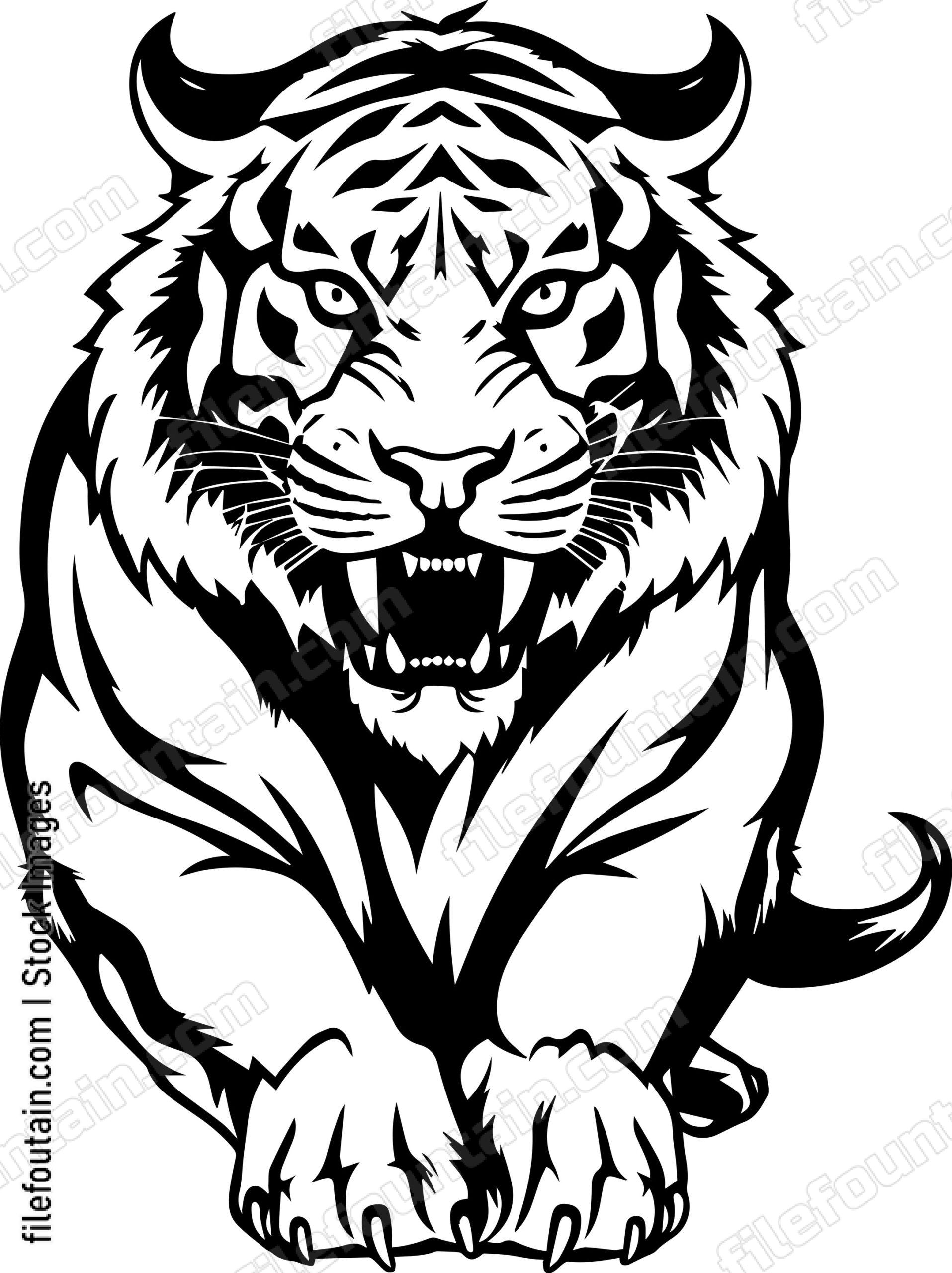 Angry Roaring Tiger Jumping Forward