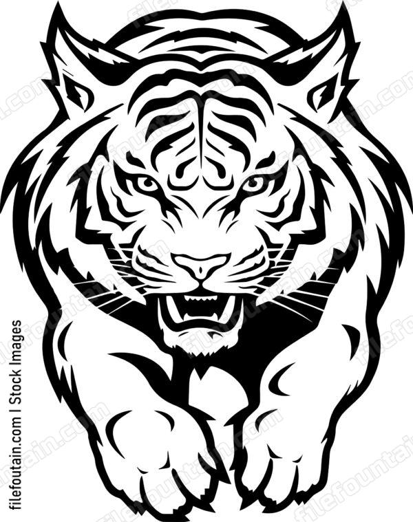 Angry Roaring Tiger Jumping Forward