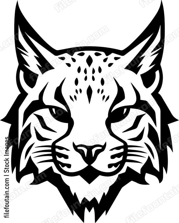 Bobcat