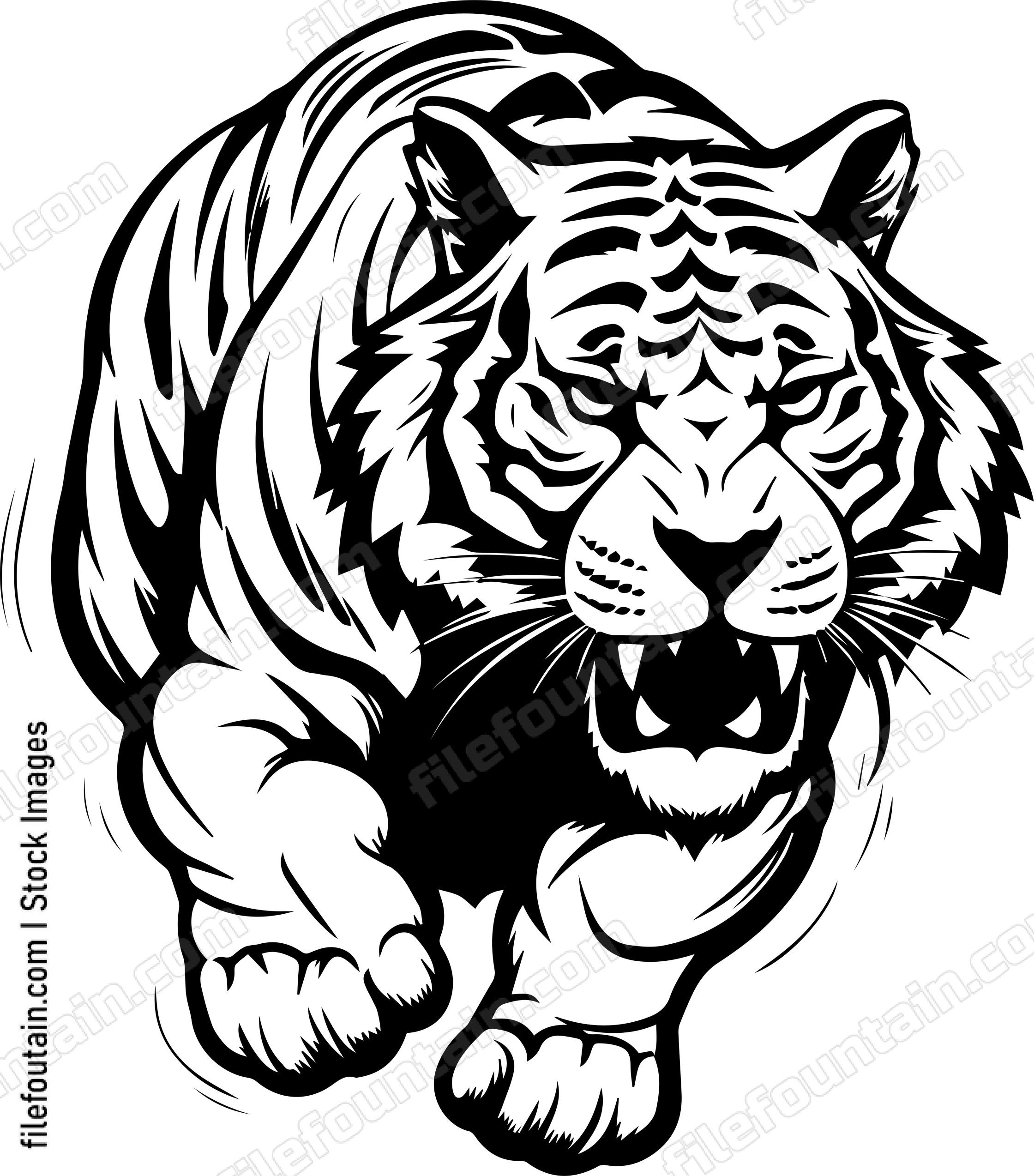 Angry Roaring Tiger Jumping Forward