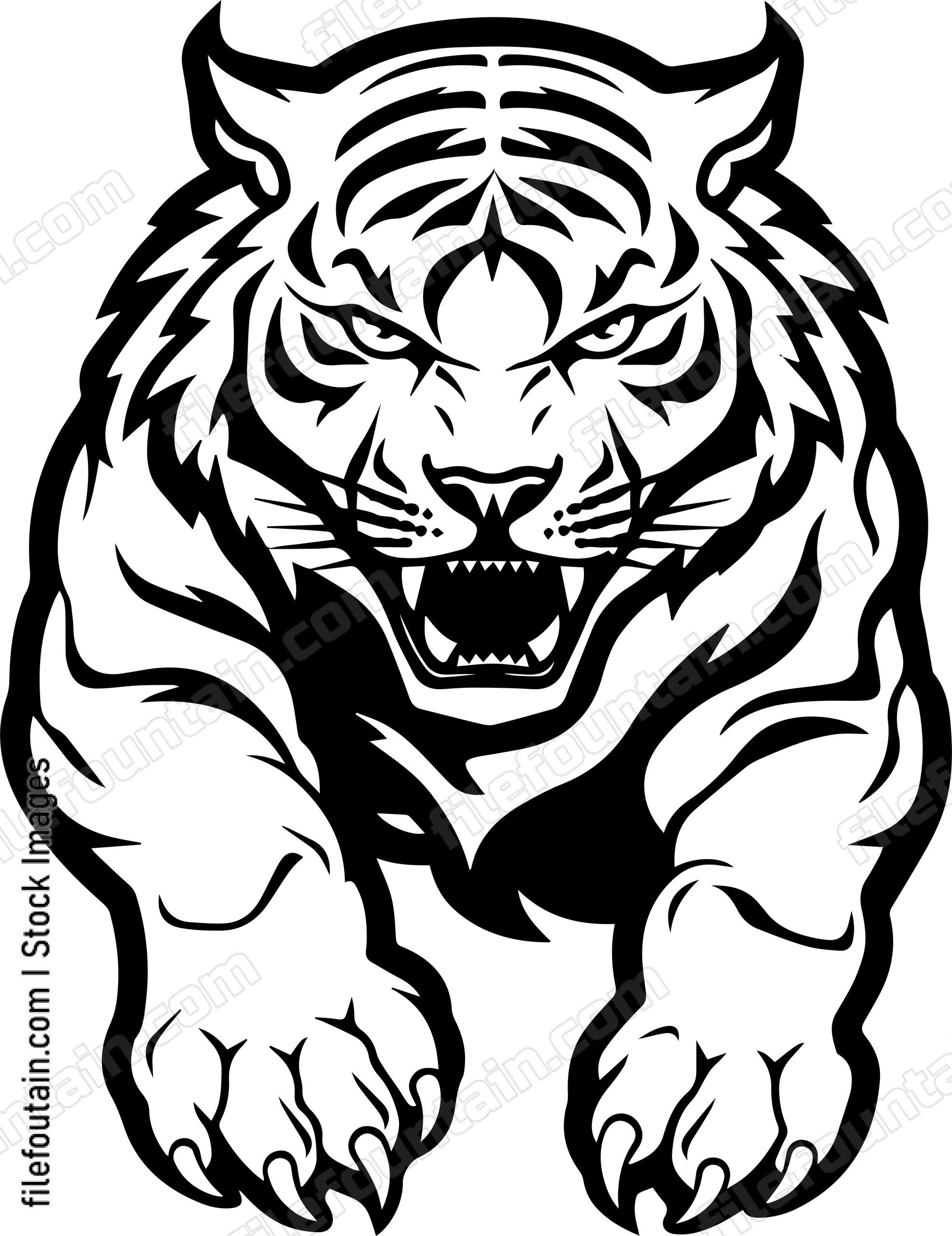 Angry Roaring Tiger Jumping Forward