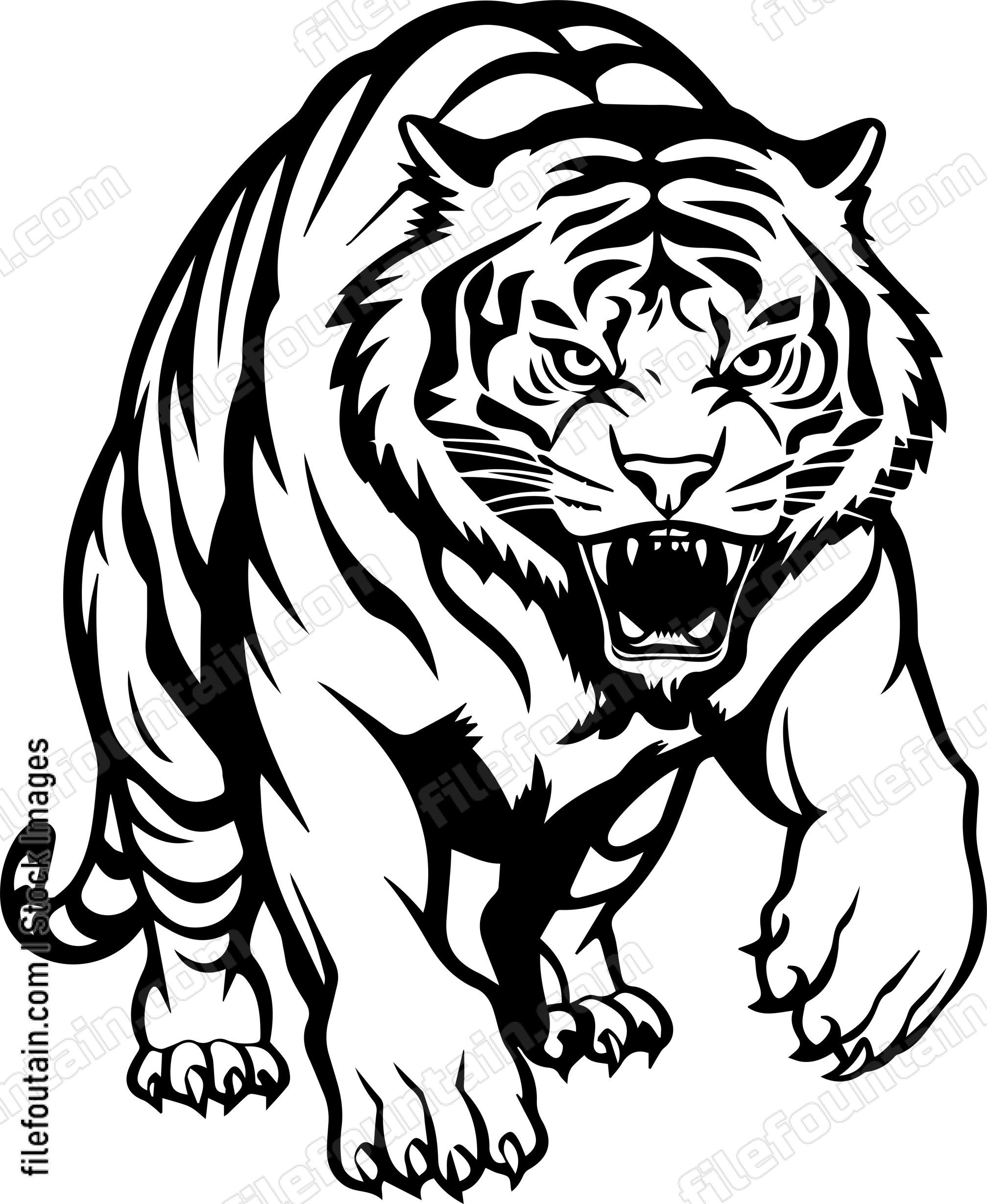Angry Roaring Tiger Jumping Forward