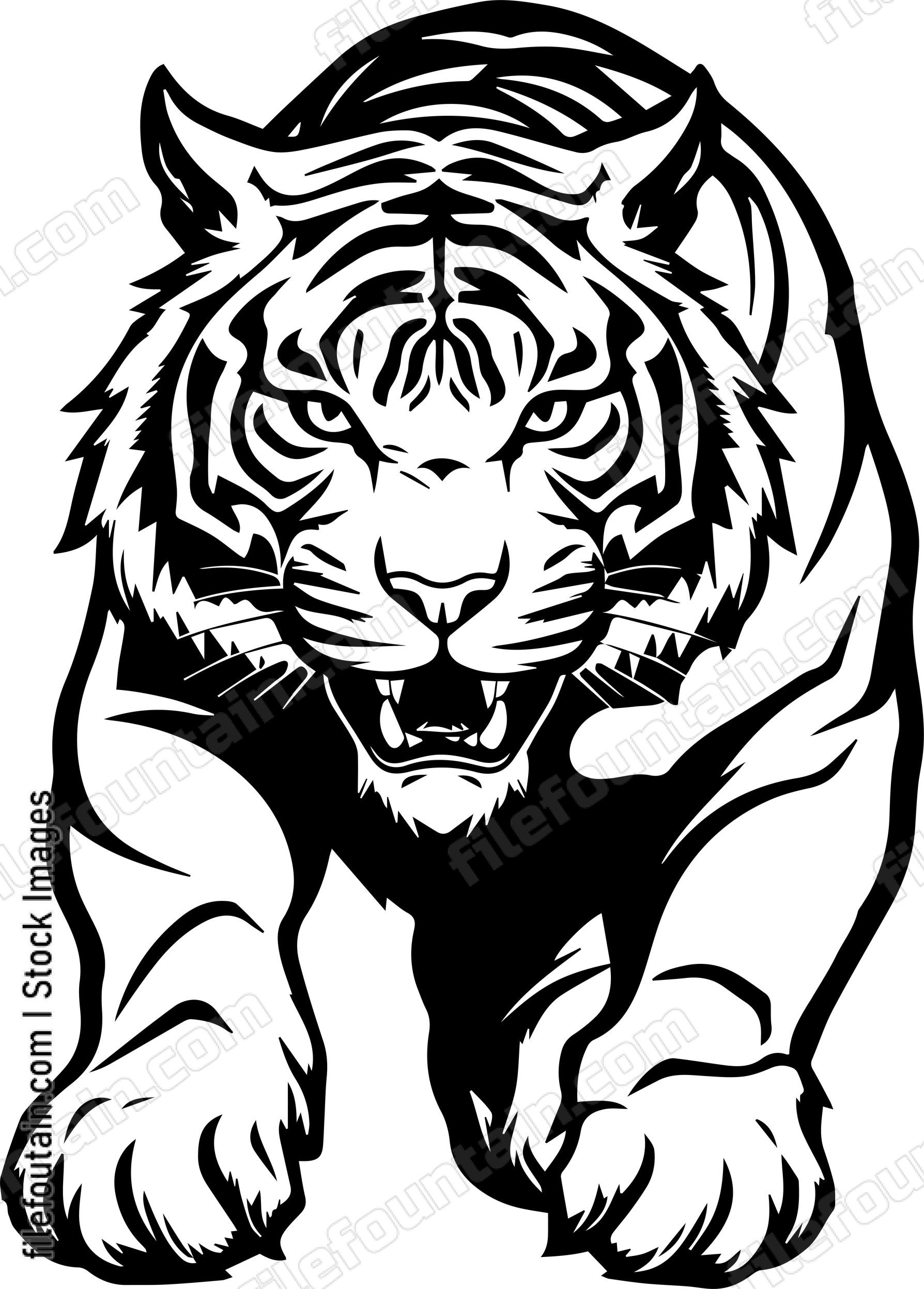 Angry Roaring Tiger Jumping Forward