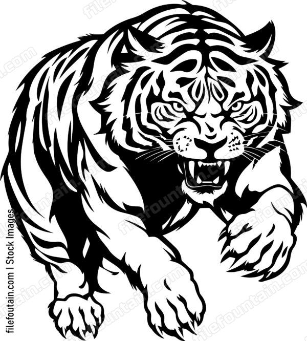 Angry Roaring Tiger Jumping Forward