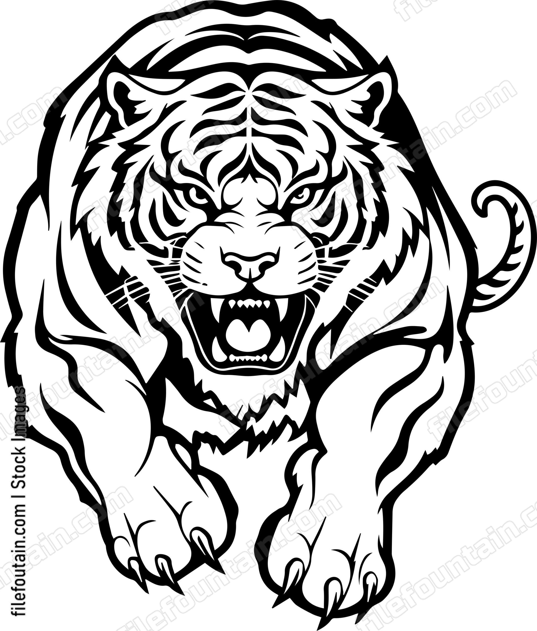 Angry Roaring Tiger Jumping Forward