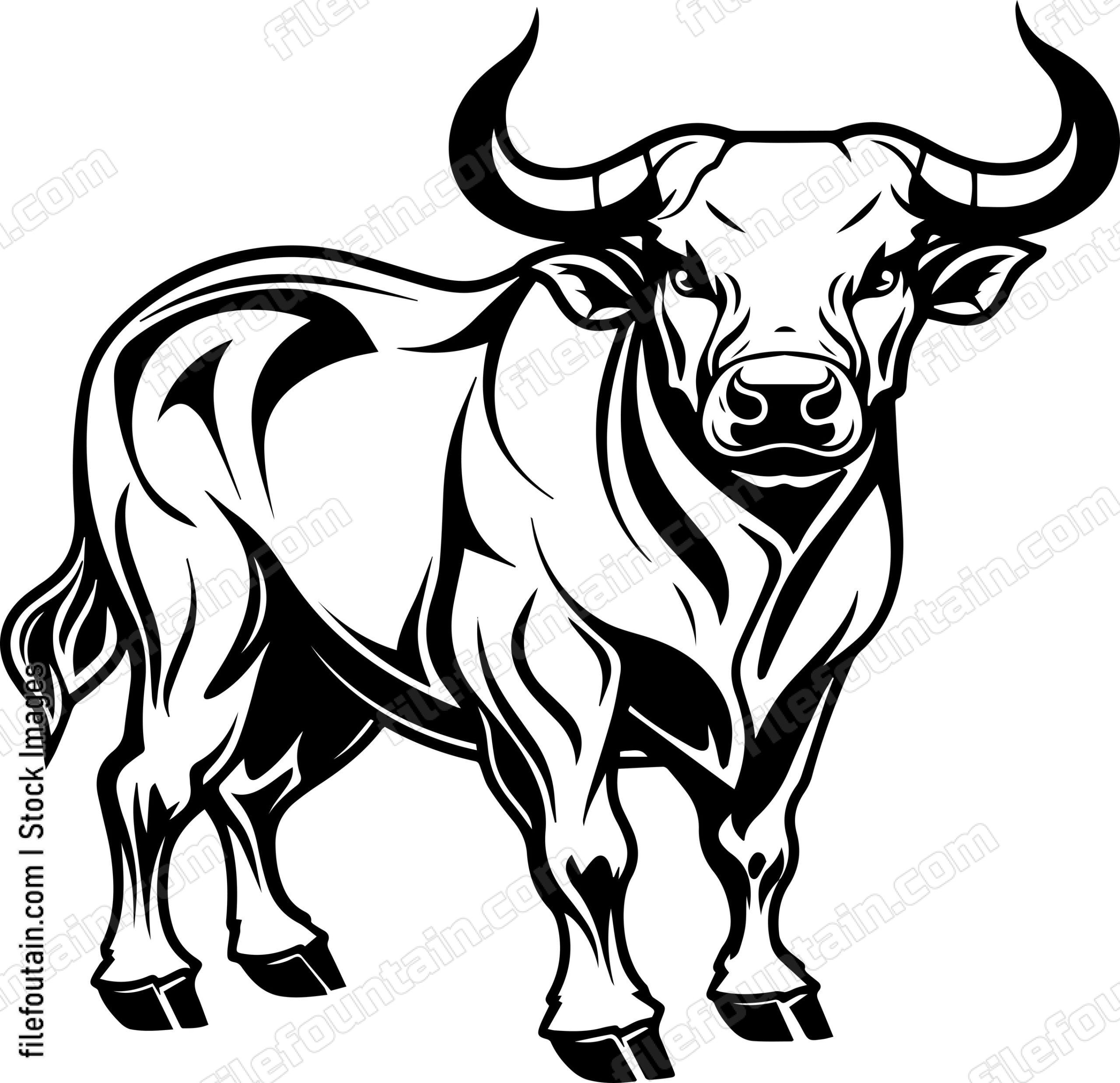 Bull