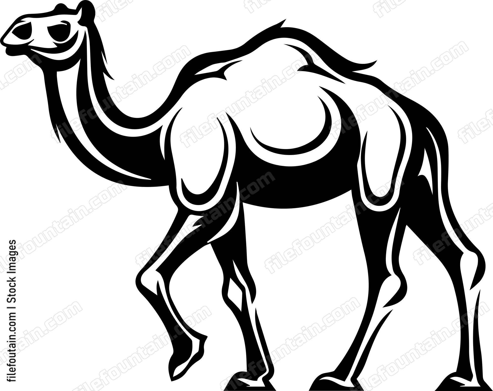 Camel