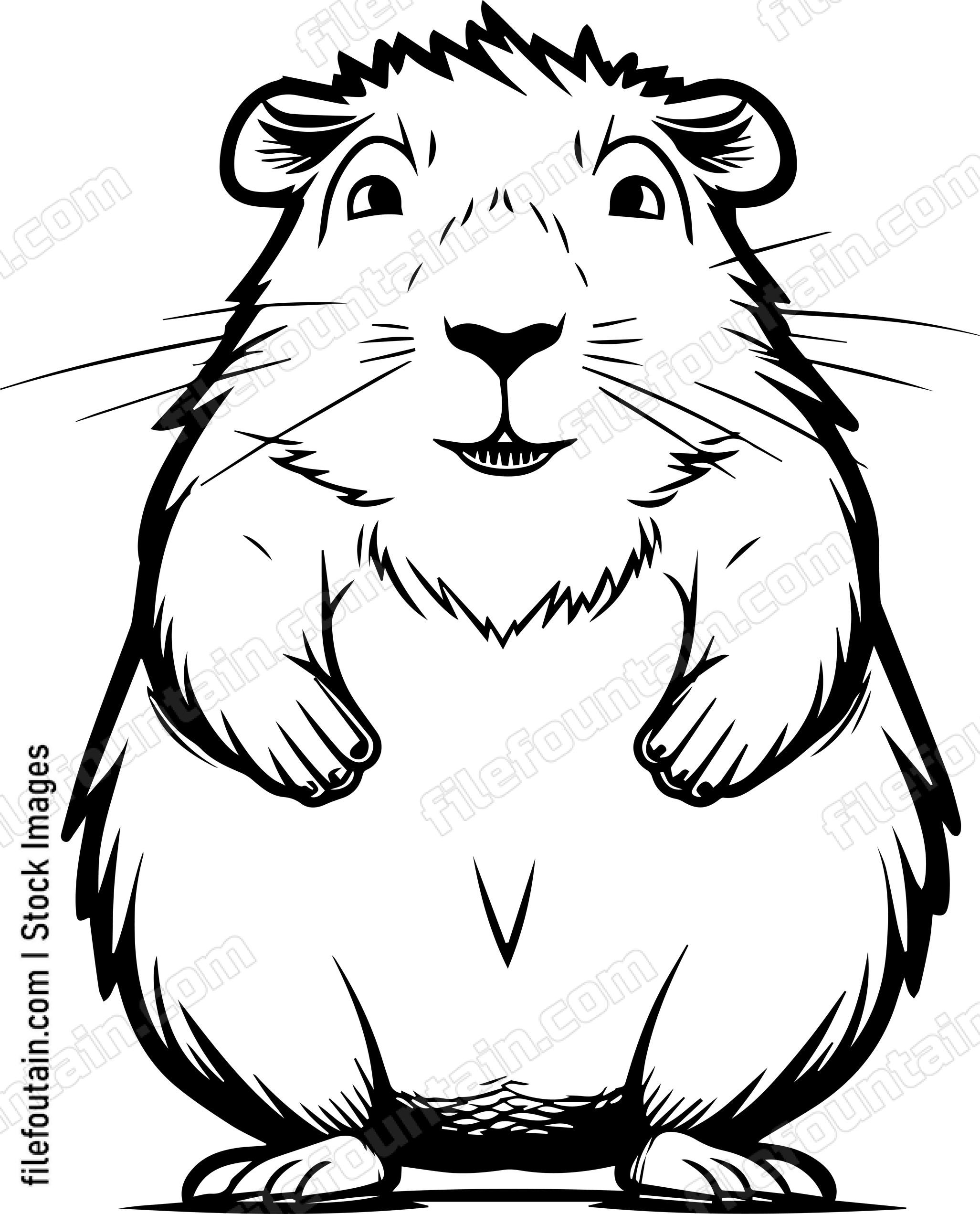 Capybara