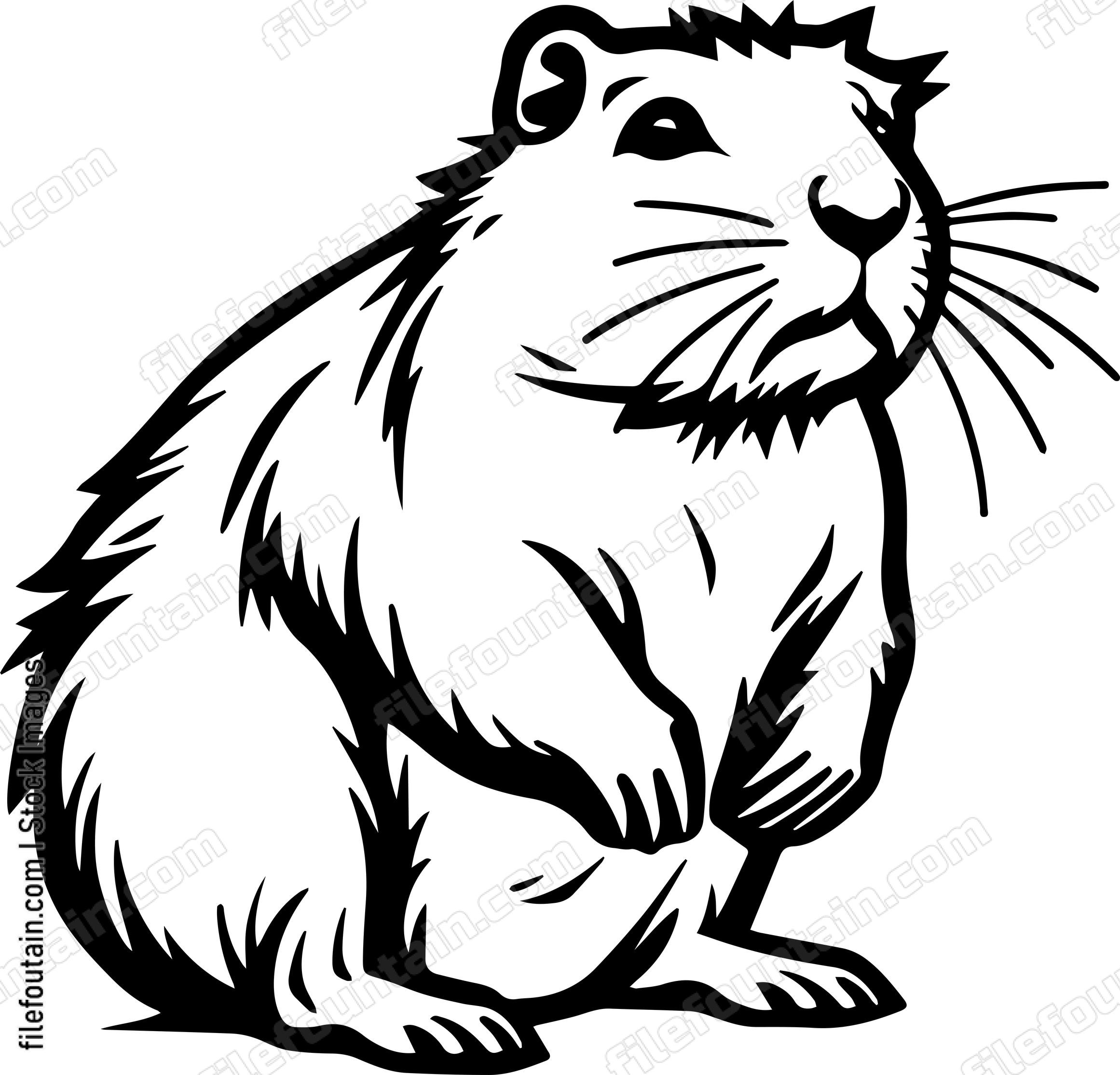 Capybara