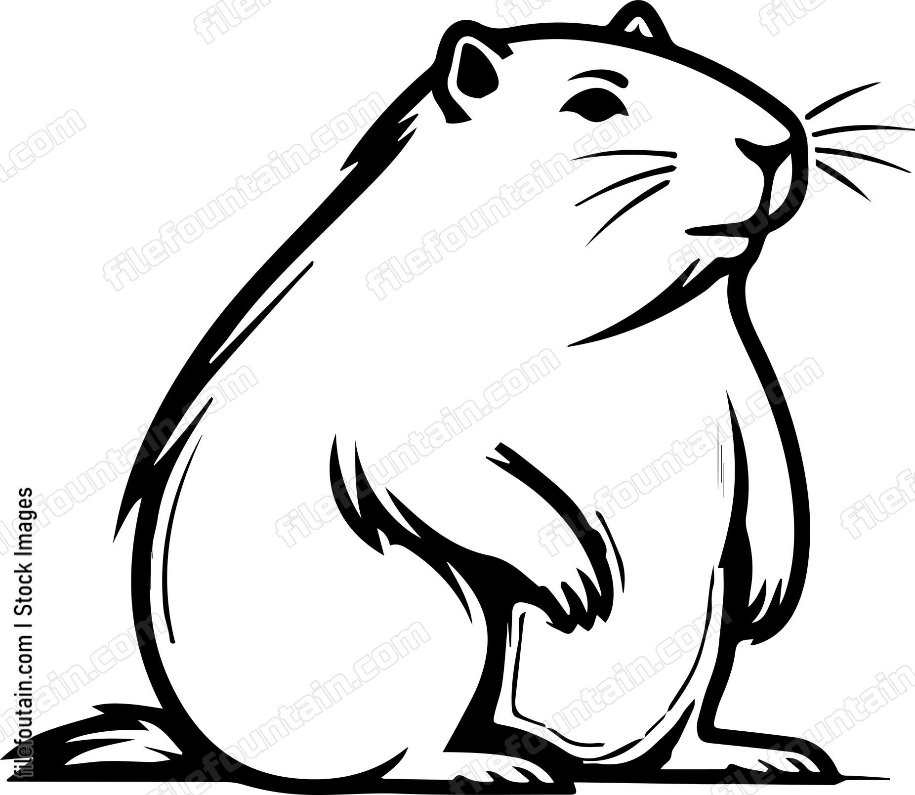 Capybara