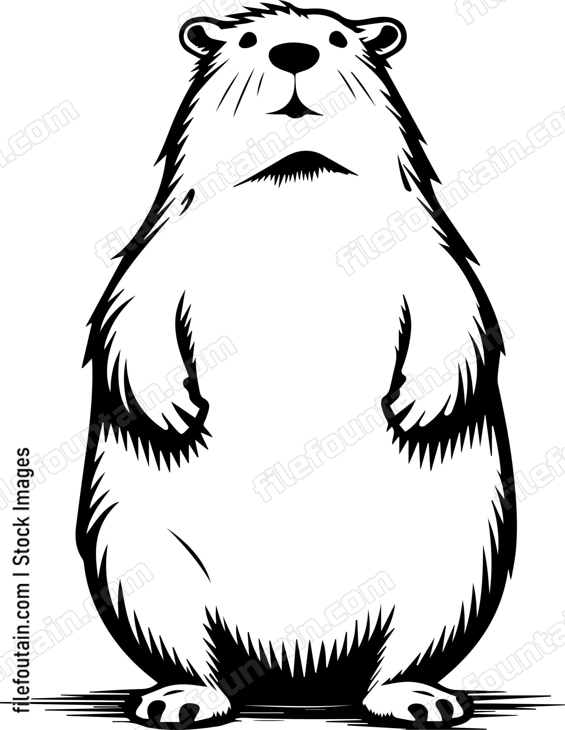 Capybara