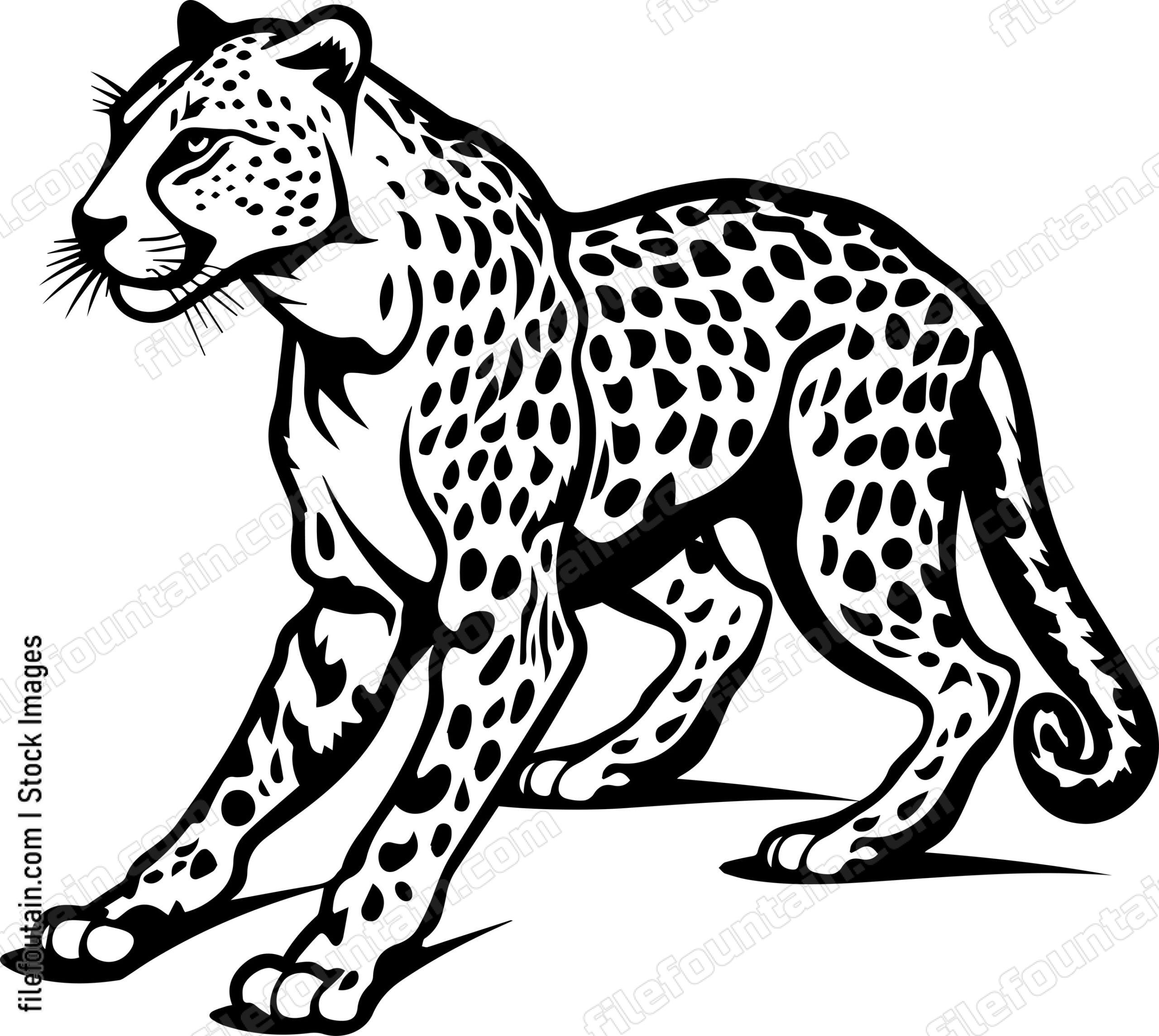 Cheetah