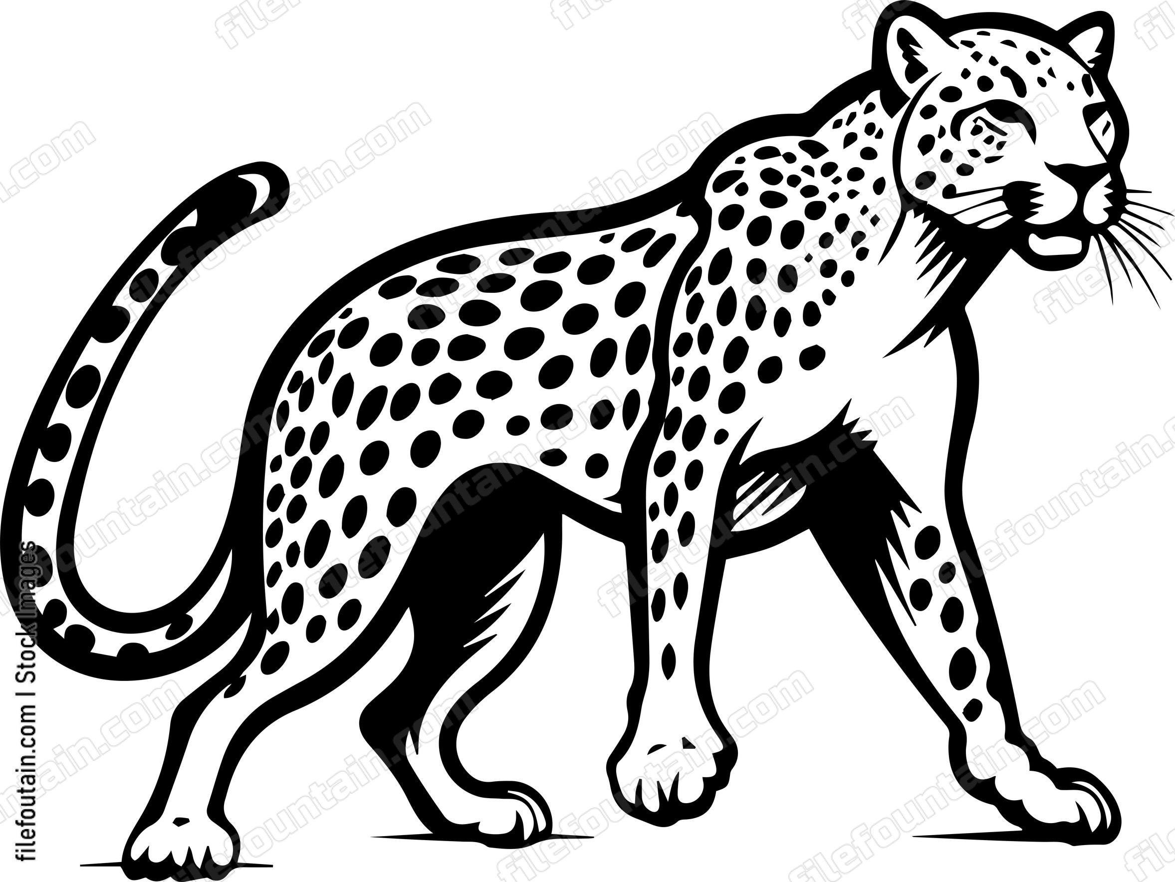 Cheetah