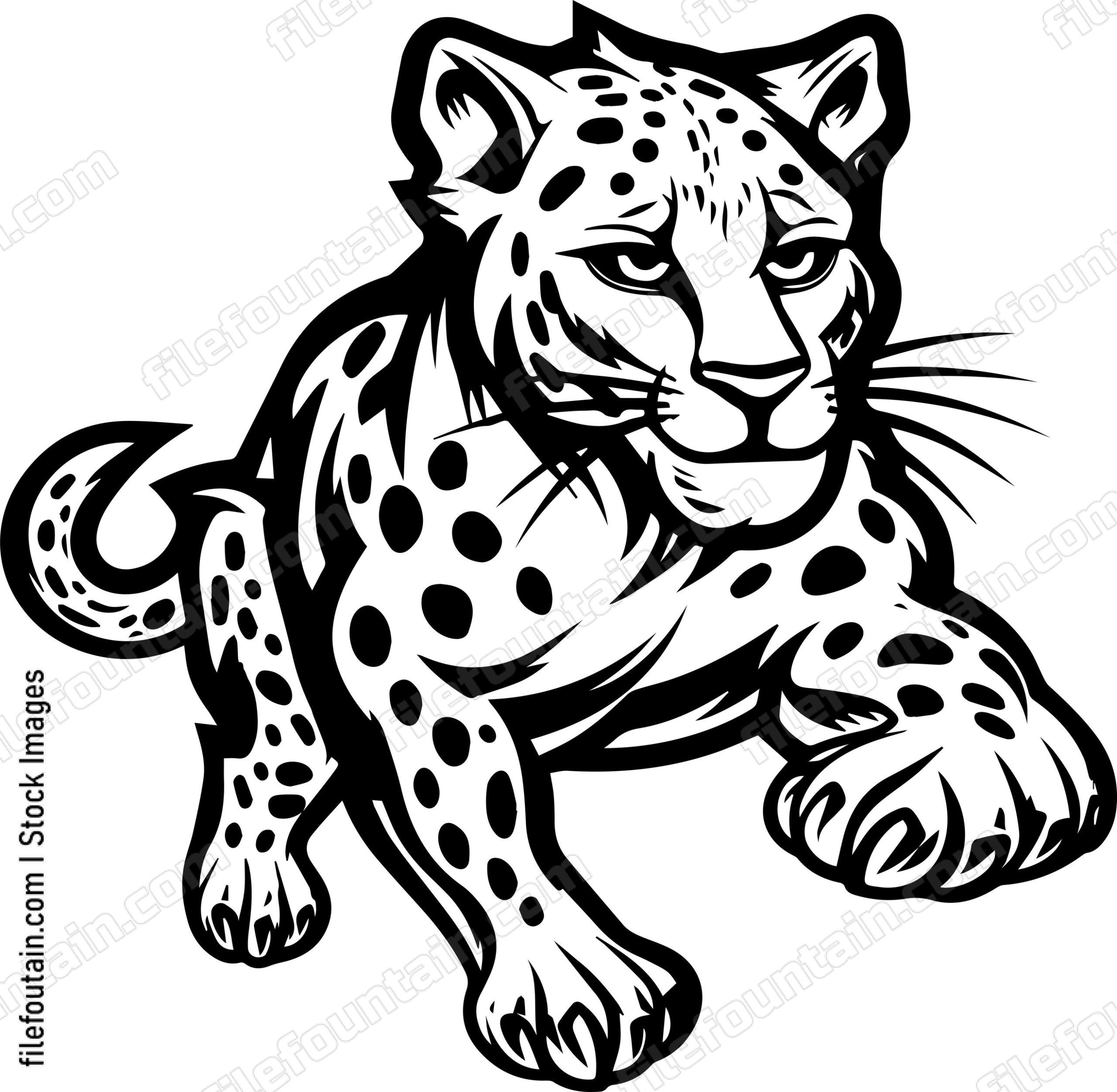 Cheetah