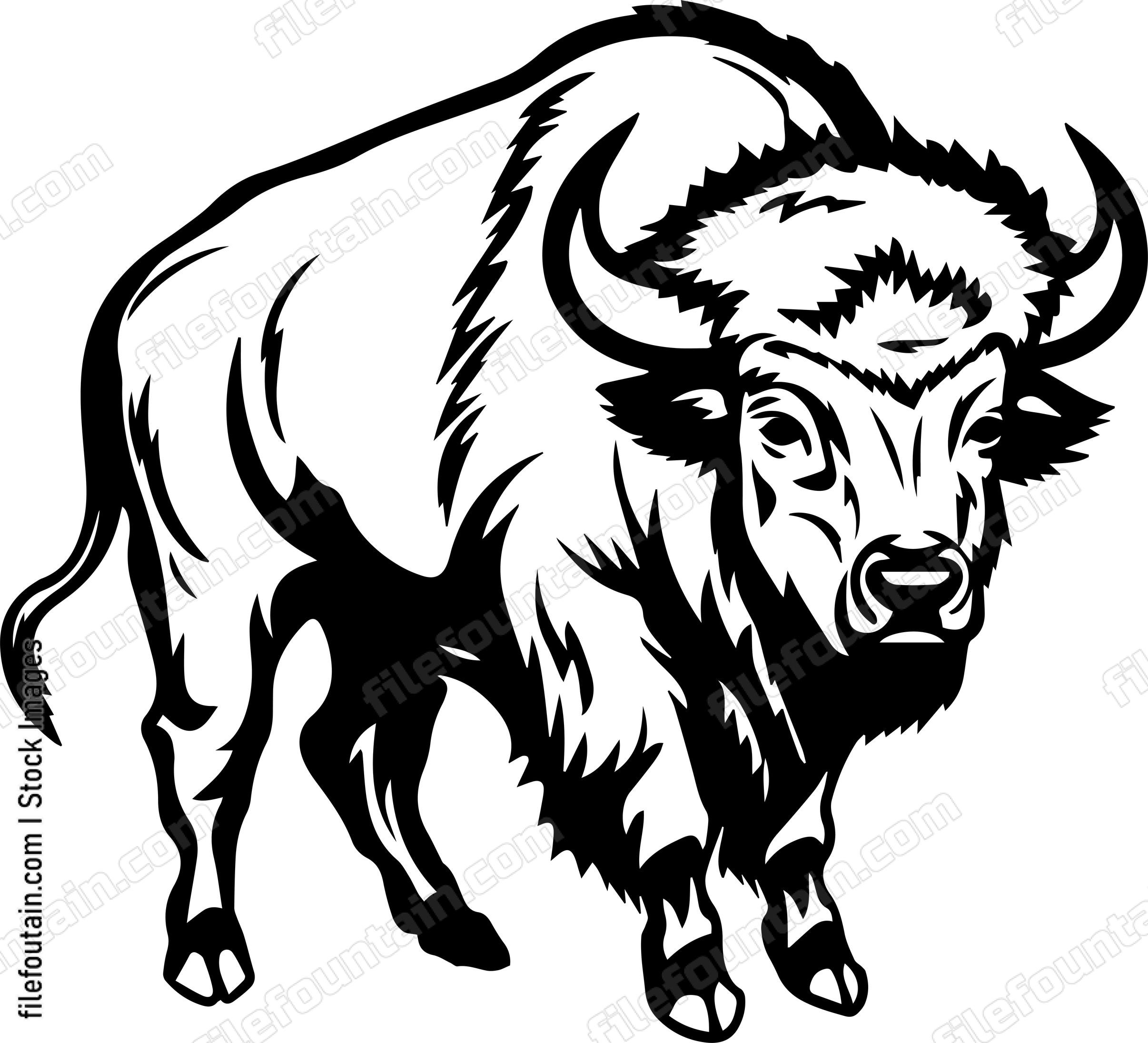 Bison