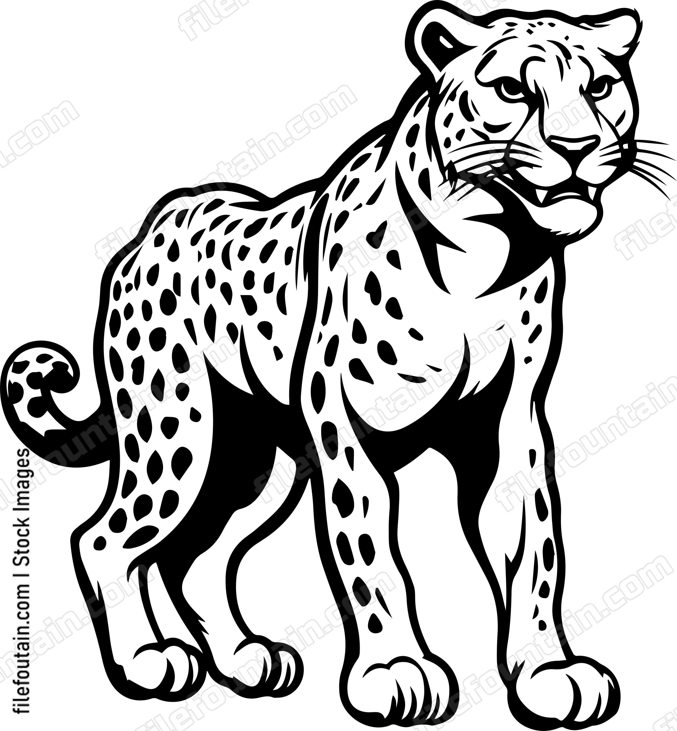Cheetah