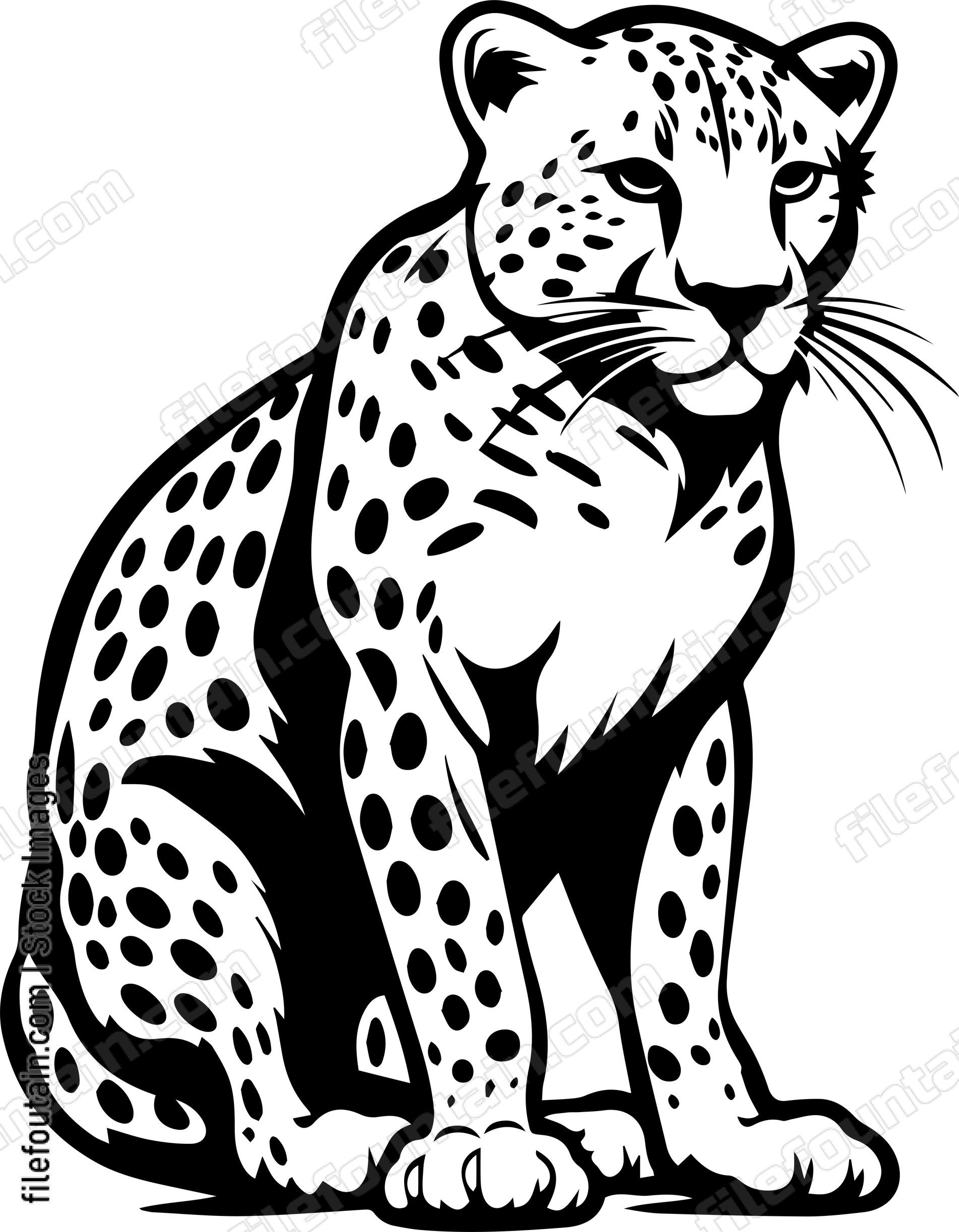 Cheetah