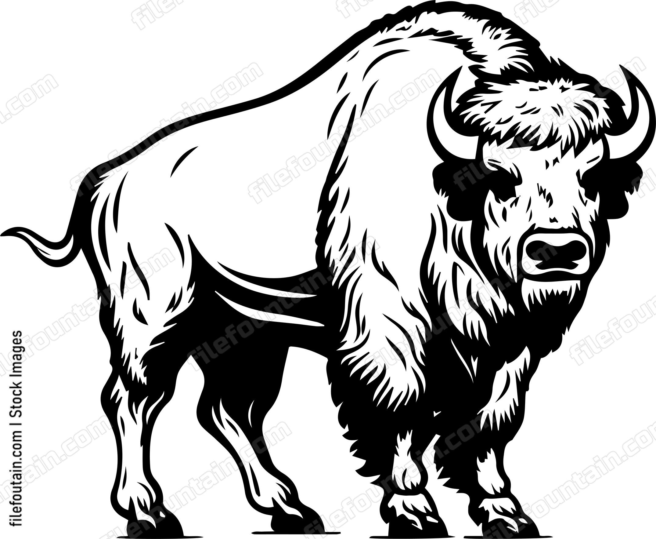 Bison