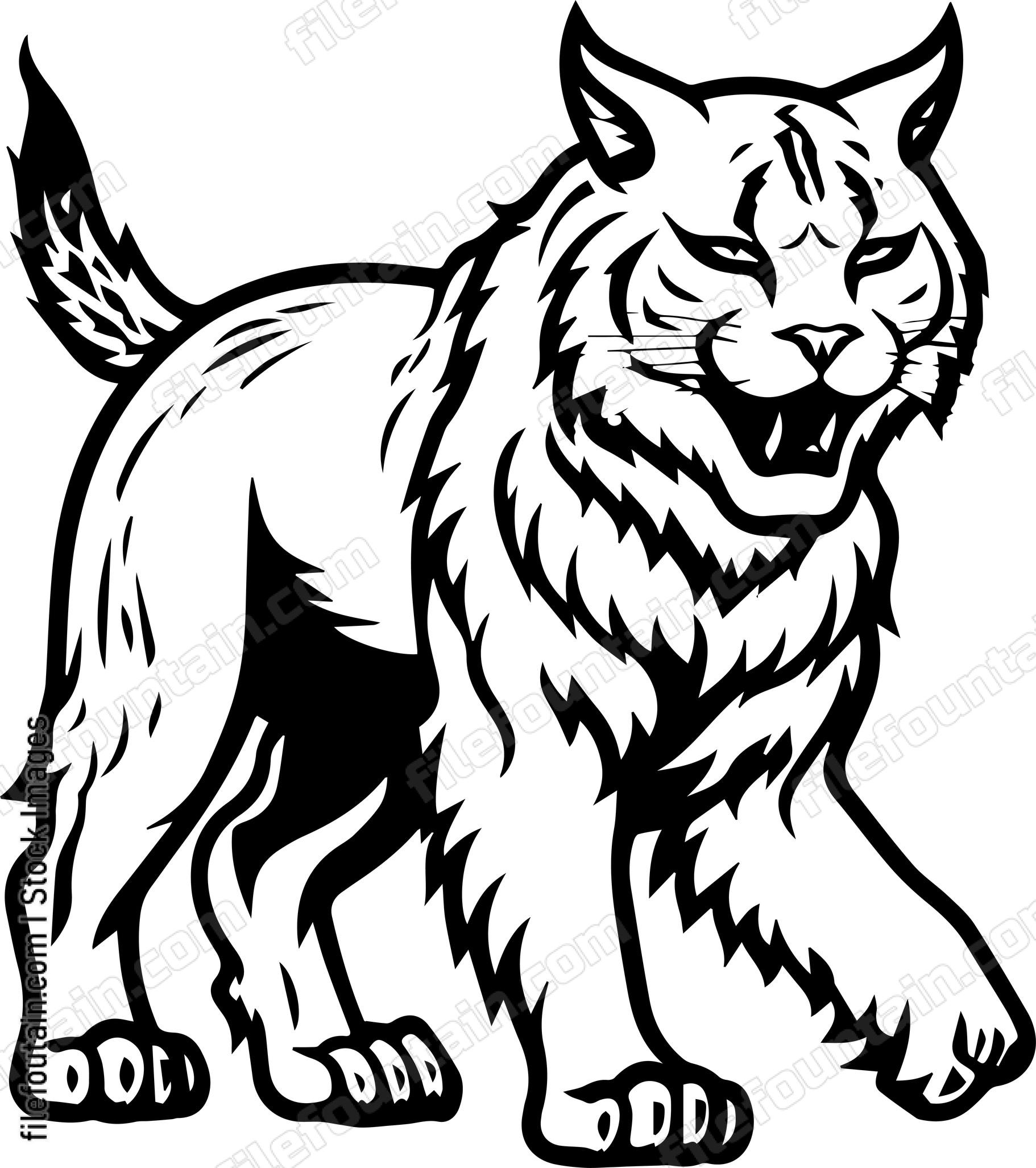 Bobcat